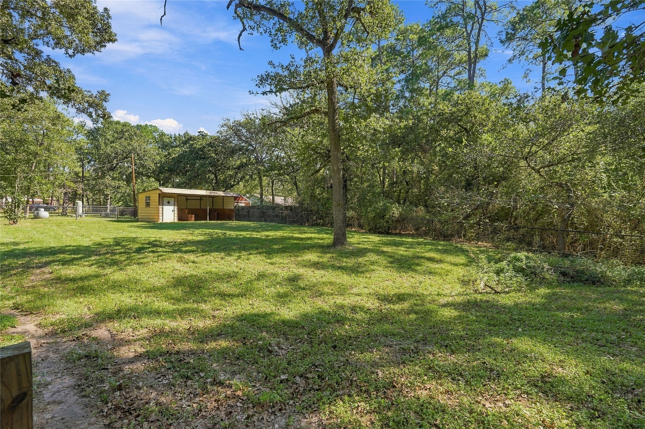 Expansive backyard with mature shade trees, open grassy areas, and a horse stall/storage structure.