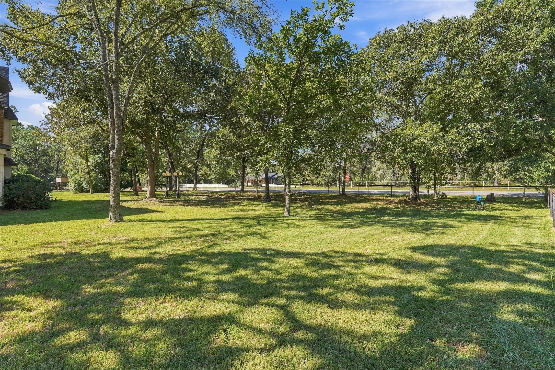 Spacious, tree-shaded yard with mature trees, open green space, and plenty of room to enjoy the outdoors.