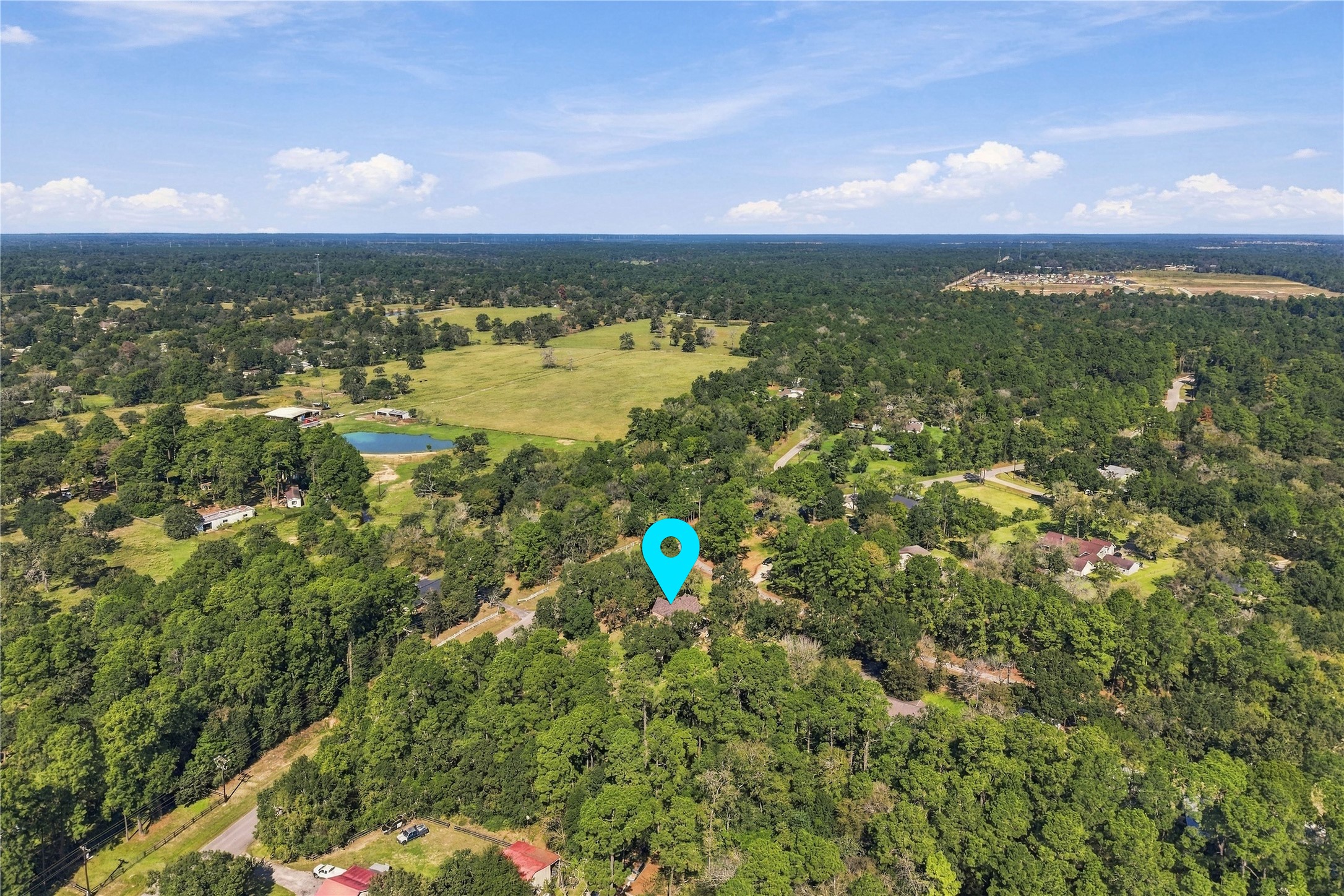 Aerial view highlighting the property's location among mature trees and the surrounding wooded landscape of Hockley.