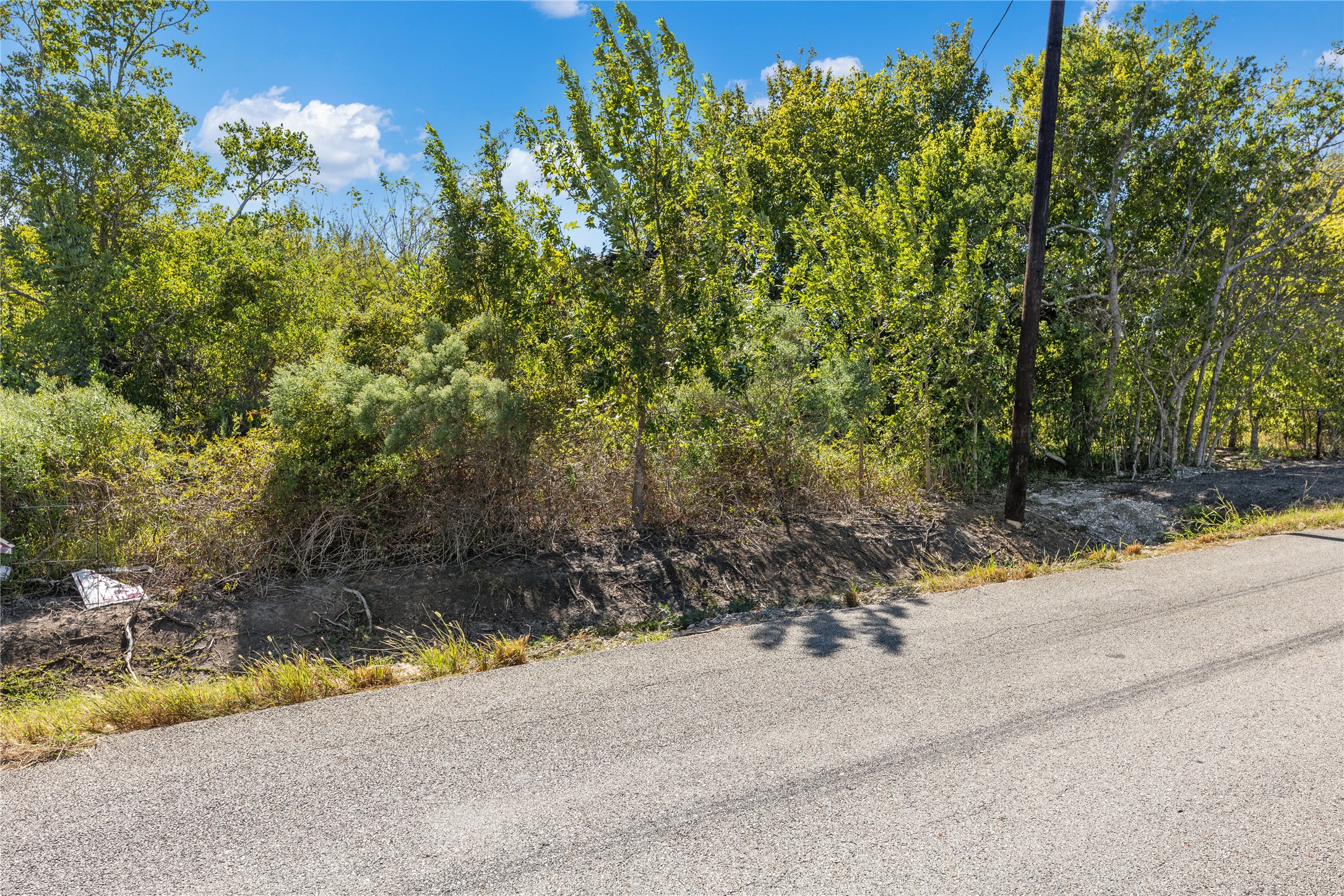 Lot is overgrown, with old electrical service and old wooden structure on property.