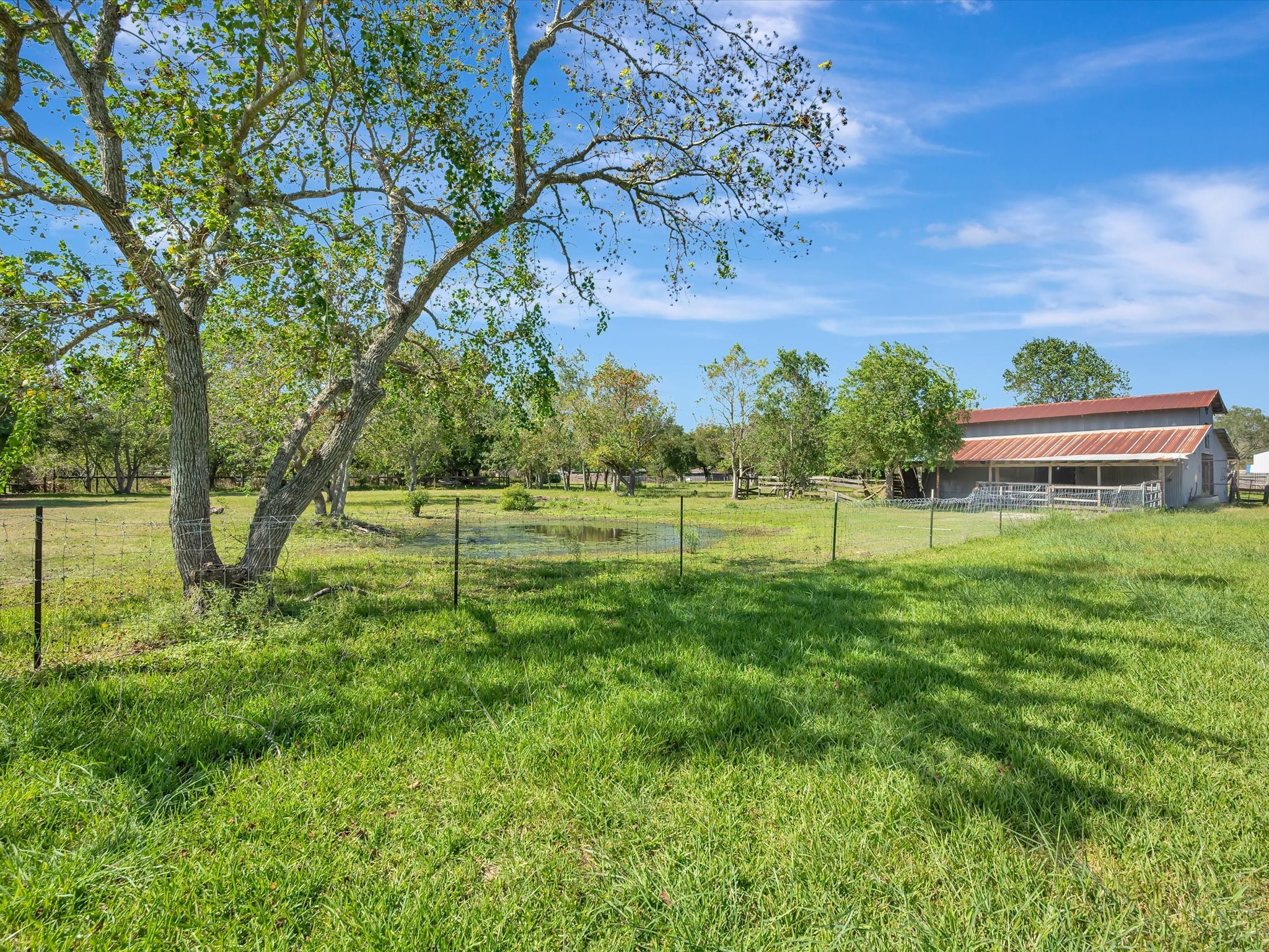 Beautiful fenced pastures, perfect for your animals. Beautiful fenced pastures, perfect for your animals.