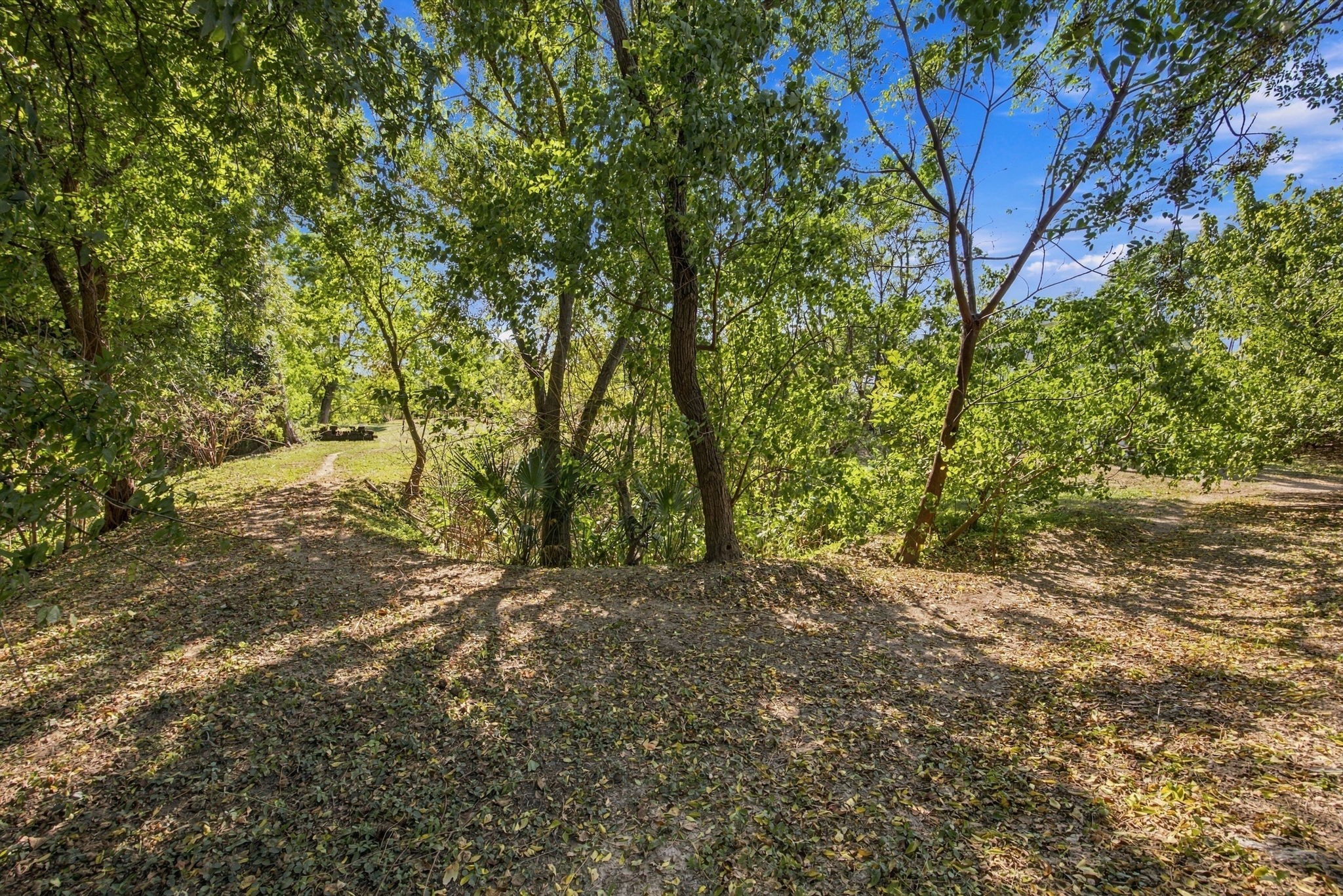 1808 Tabor Street, Houston, TX 77009