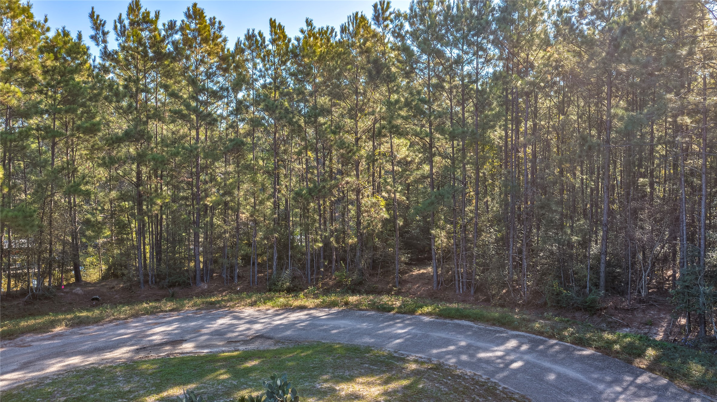 19426 Ucayali Court, Porter, TX 77365