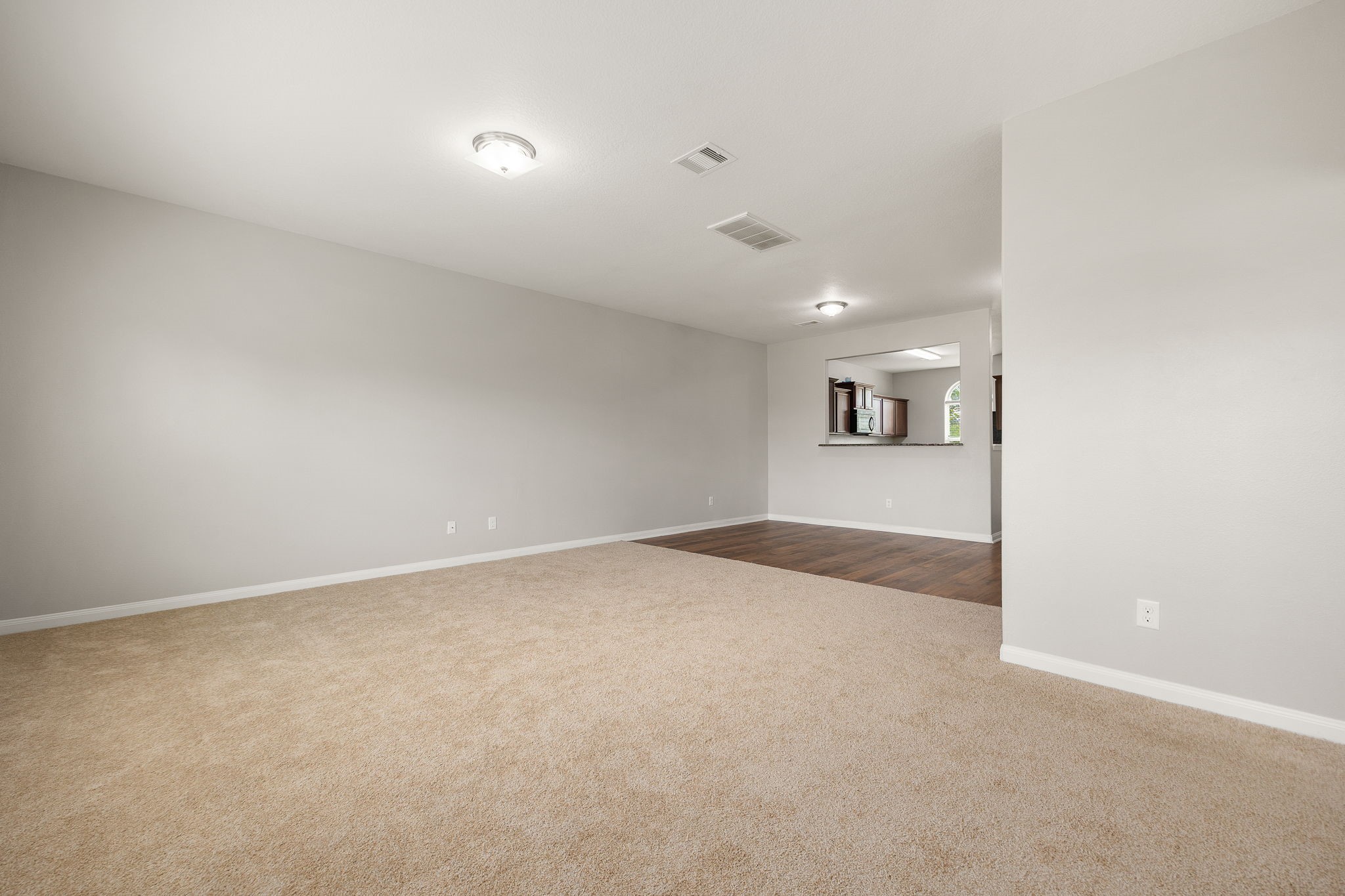 17247 Osprey Forest Drive, Hockley, TX 77447