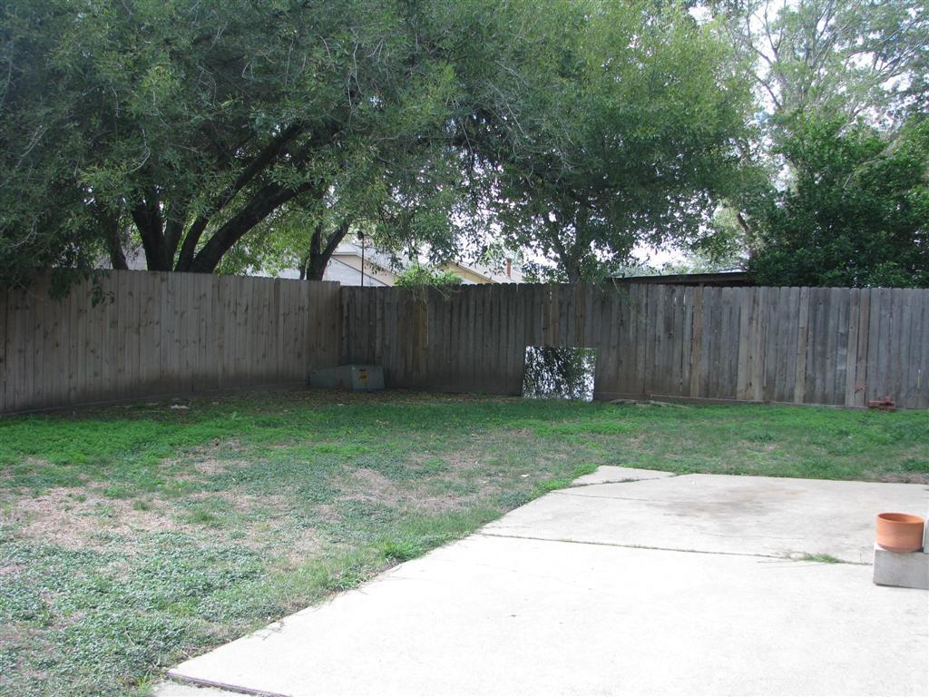 backyard