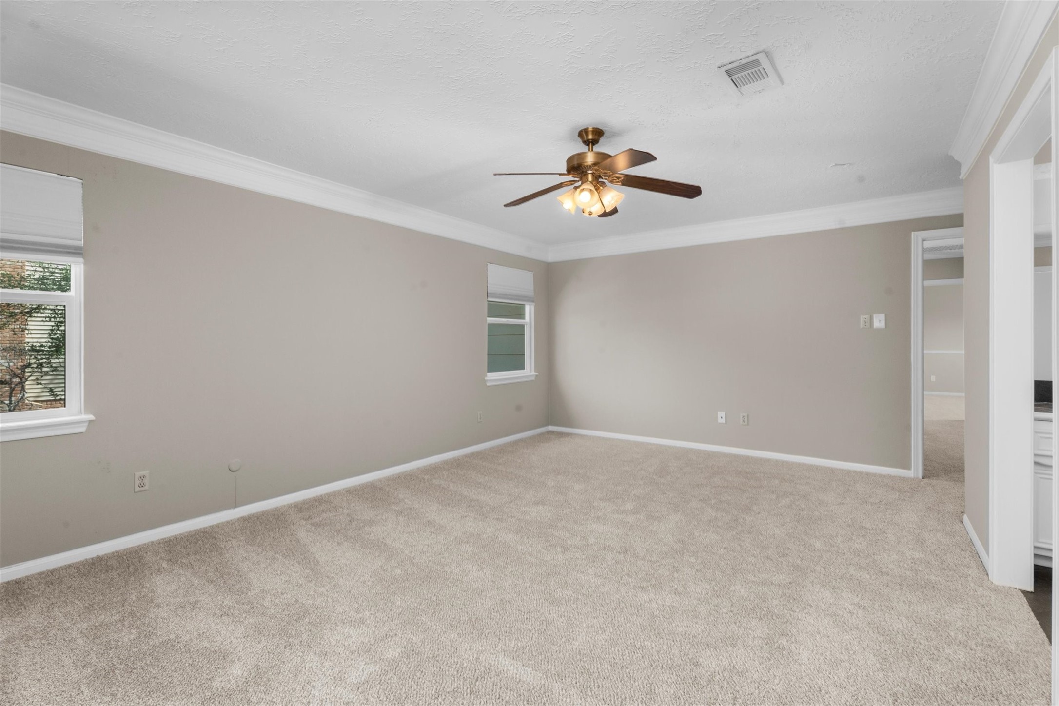 Primary showing 2 windows and lots of wall space