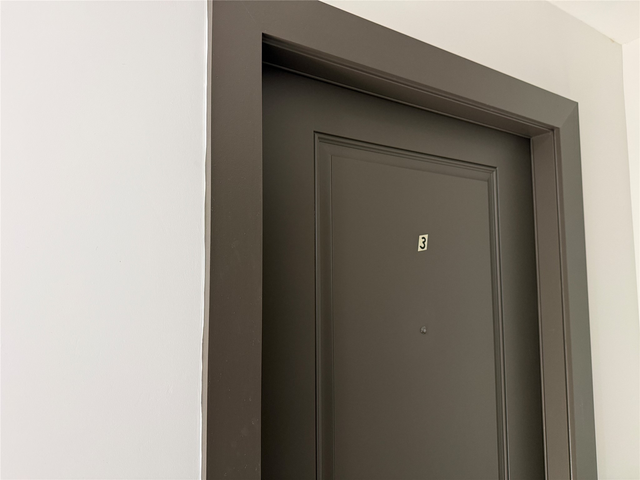 Unit Door