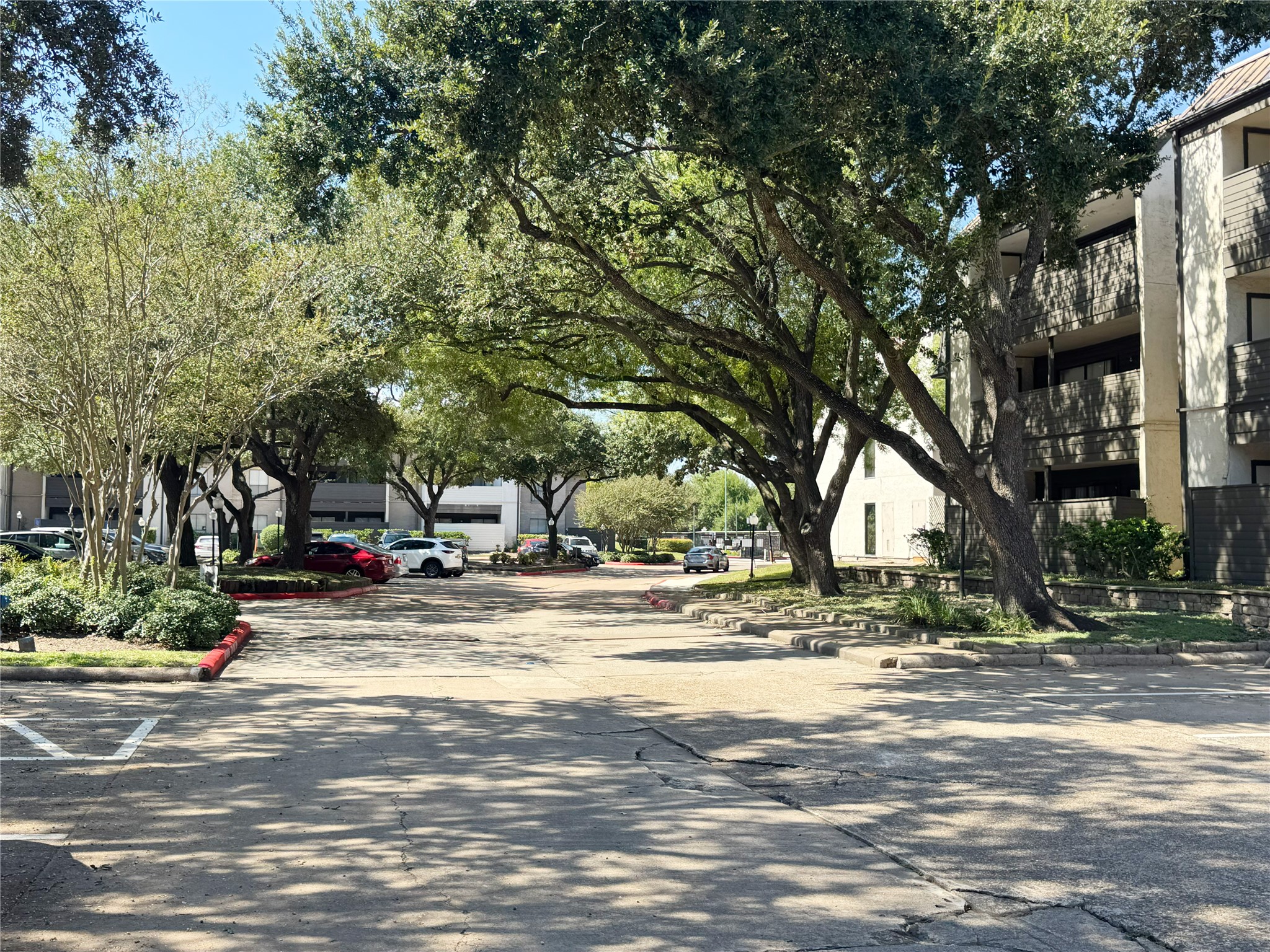 3025 Walnut Bend Lane, #34, Houston, TX 77042