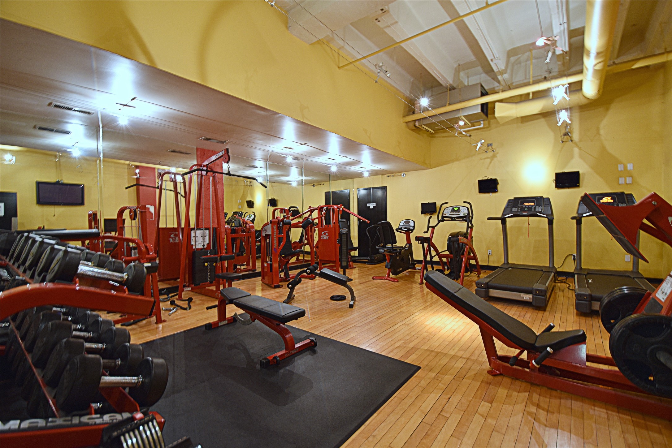Building well-equipped gym with various exercise machines, free weights, and treadmills.
