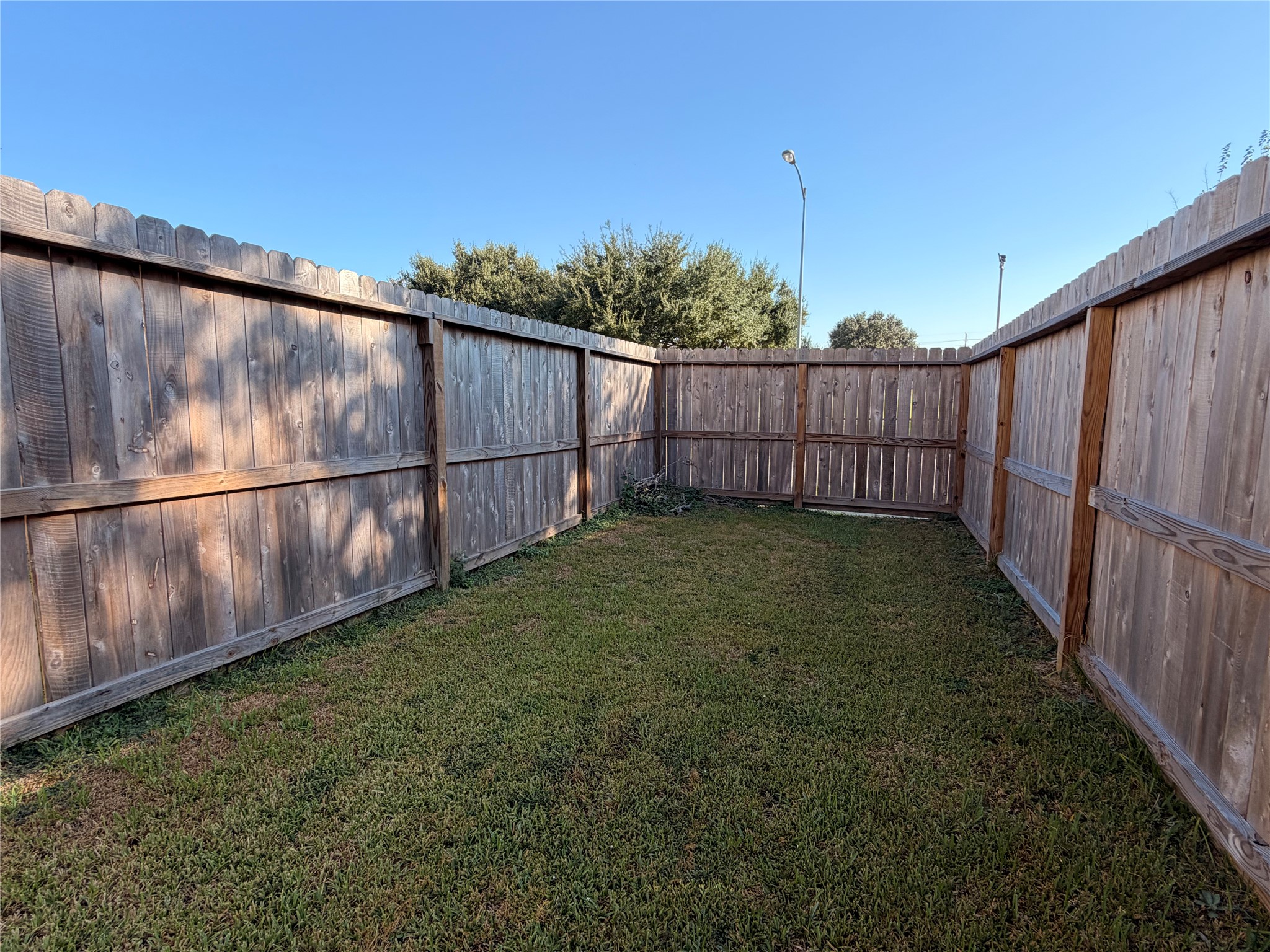 More of the side yard