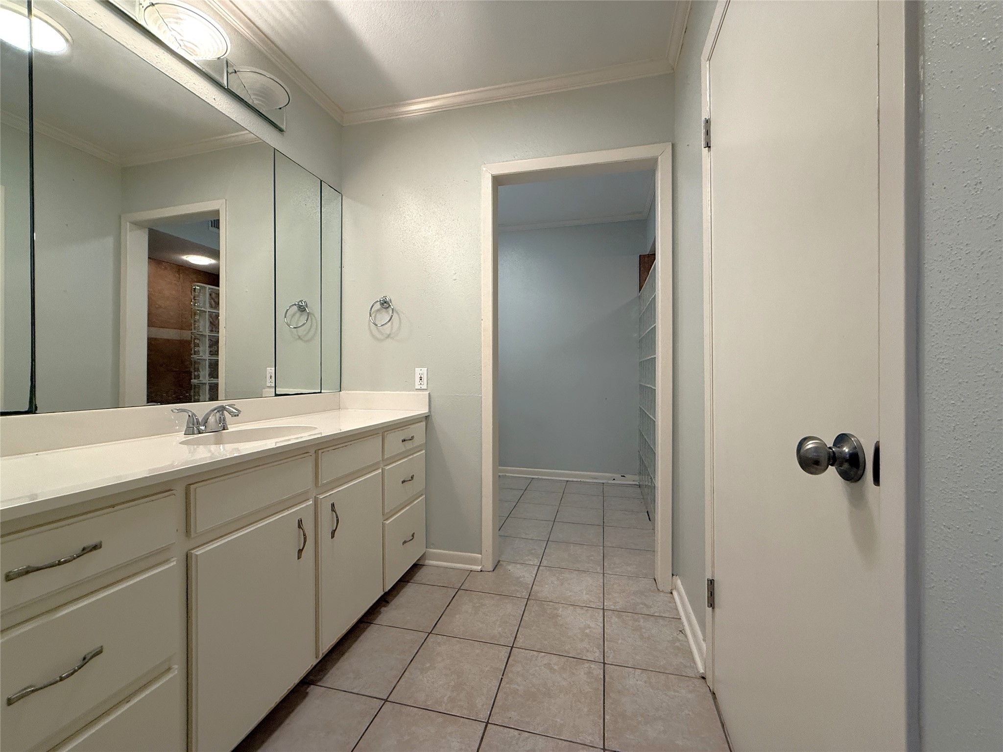 The primary bathroom offers an extended vanity with lots of storage. Behind the door on the left is a walk-in closet.