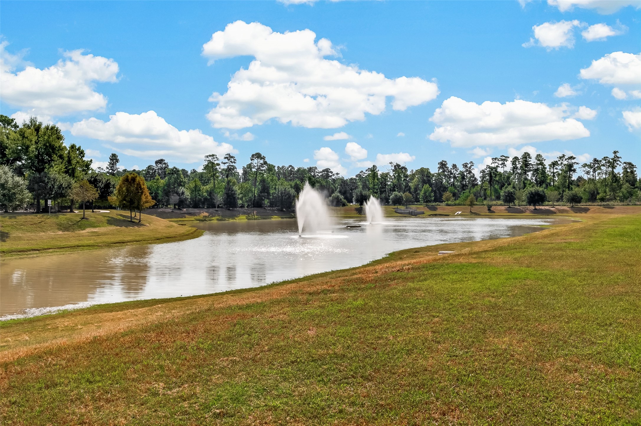 12939 Basswood Summit Drive, Houston, TX 77044