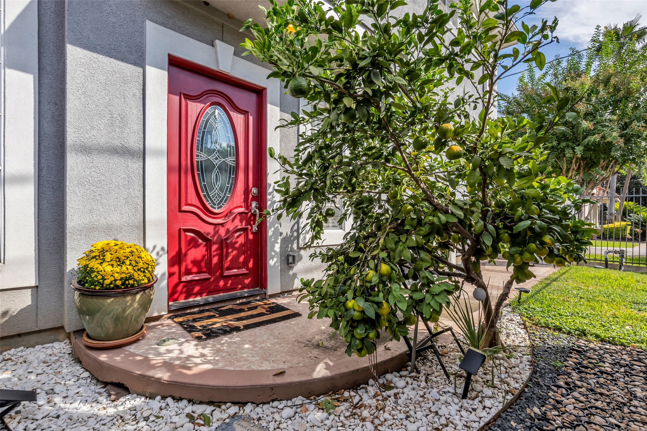 Inviting entrance with a citrus tree. Inviting entrance with a citrus tree.