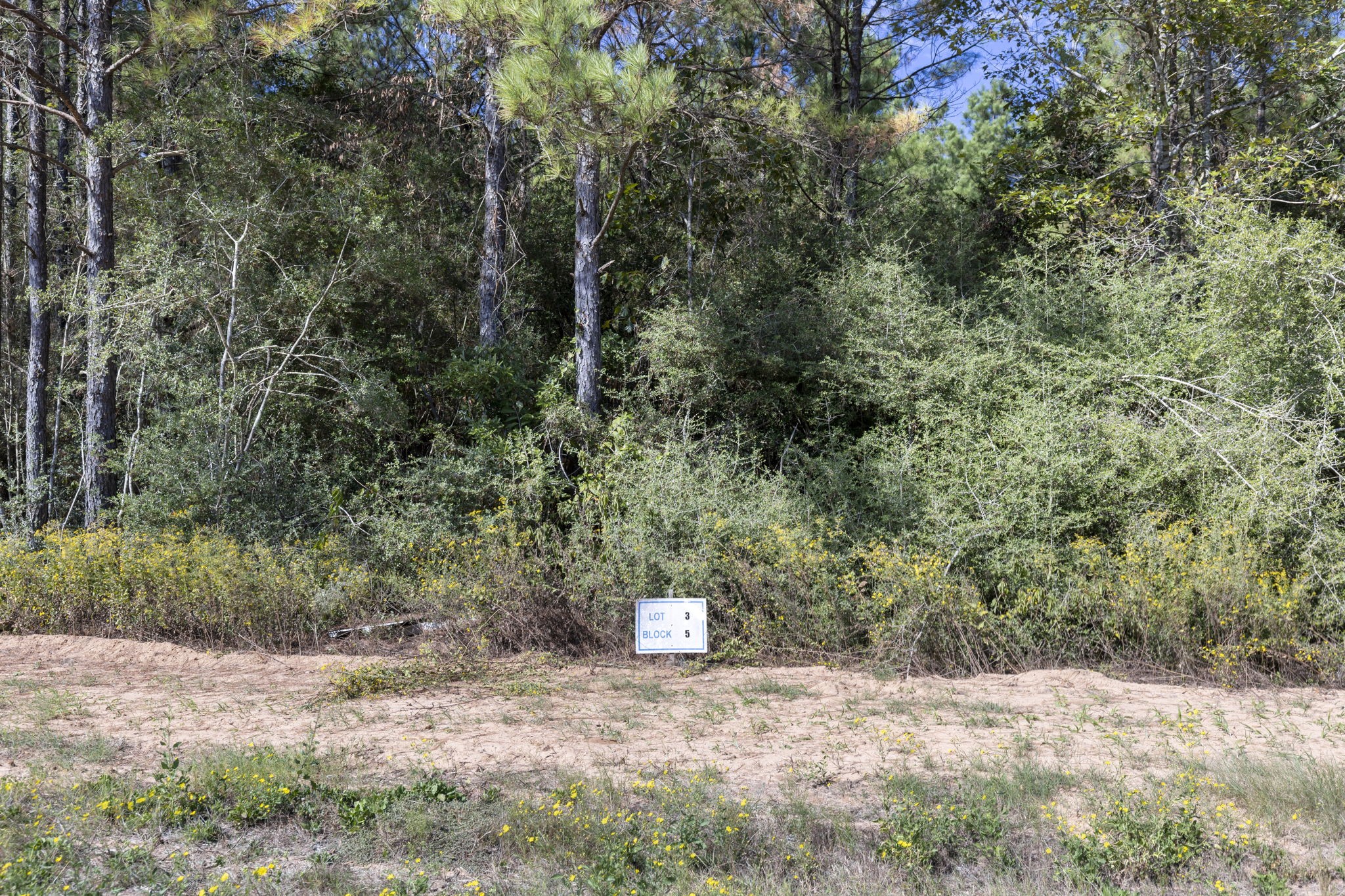 16002 Forest Mill Road, Willis, TX 77378