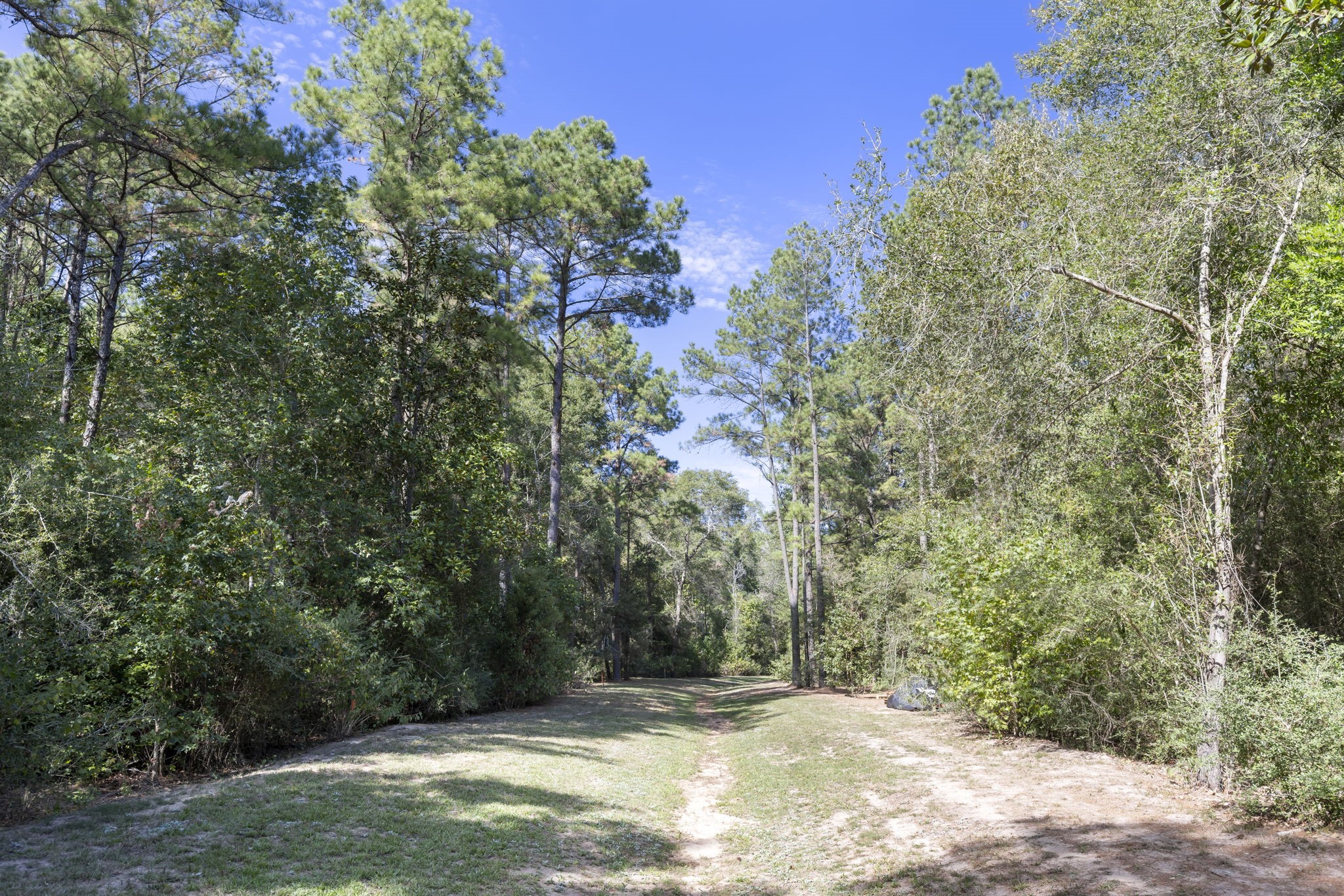 16002 Forest Mill Road, Willis, TX 77378