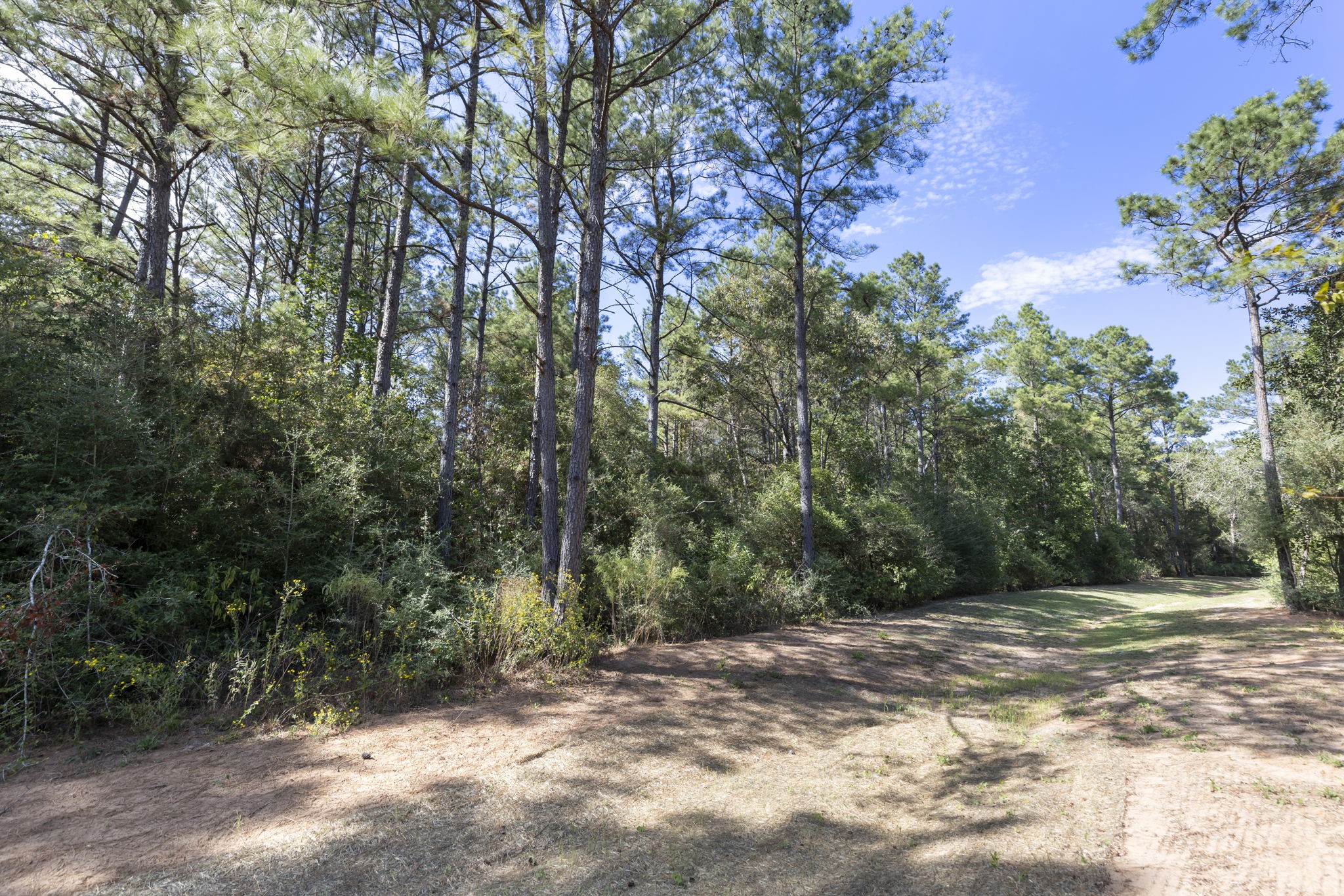16002 Forest Mill Road, Willis, TX 77378