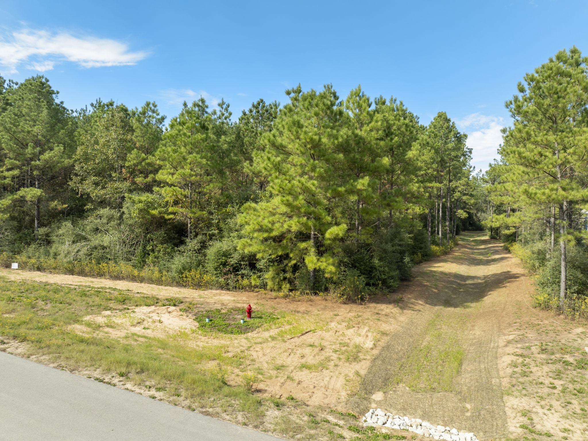 16002 Forest Mill Road, Willis, TX 77378