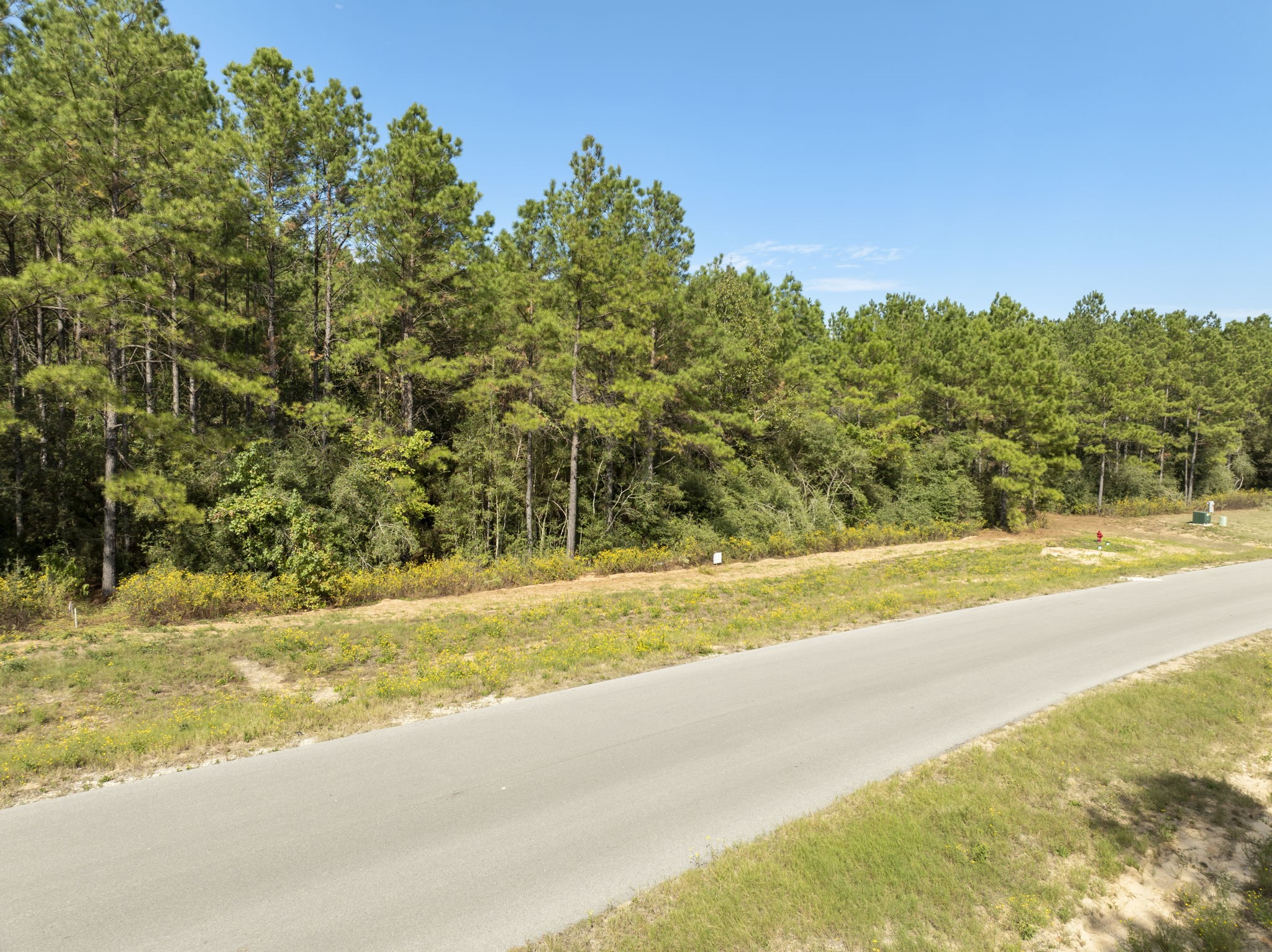 16002 Forest Mill Road, Willis, TX 77378