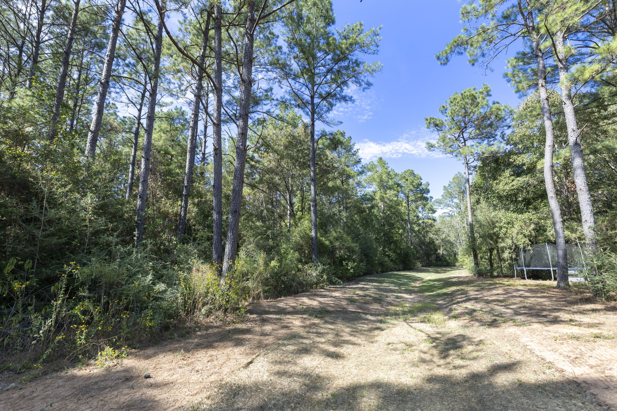16002 Forest Mill Road, Willis, TX 77378