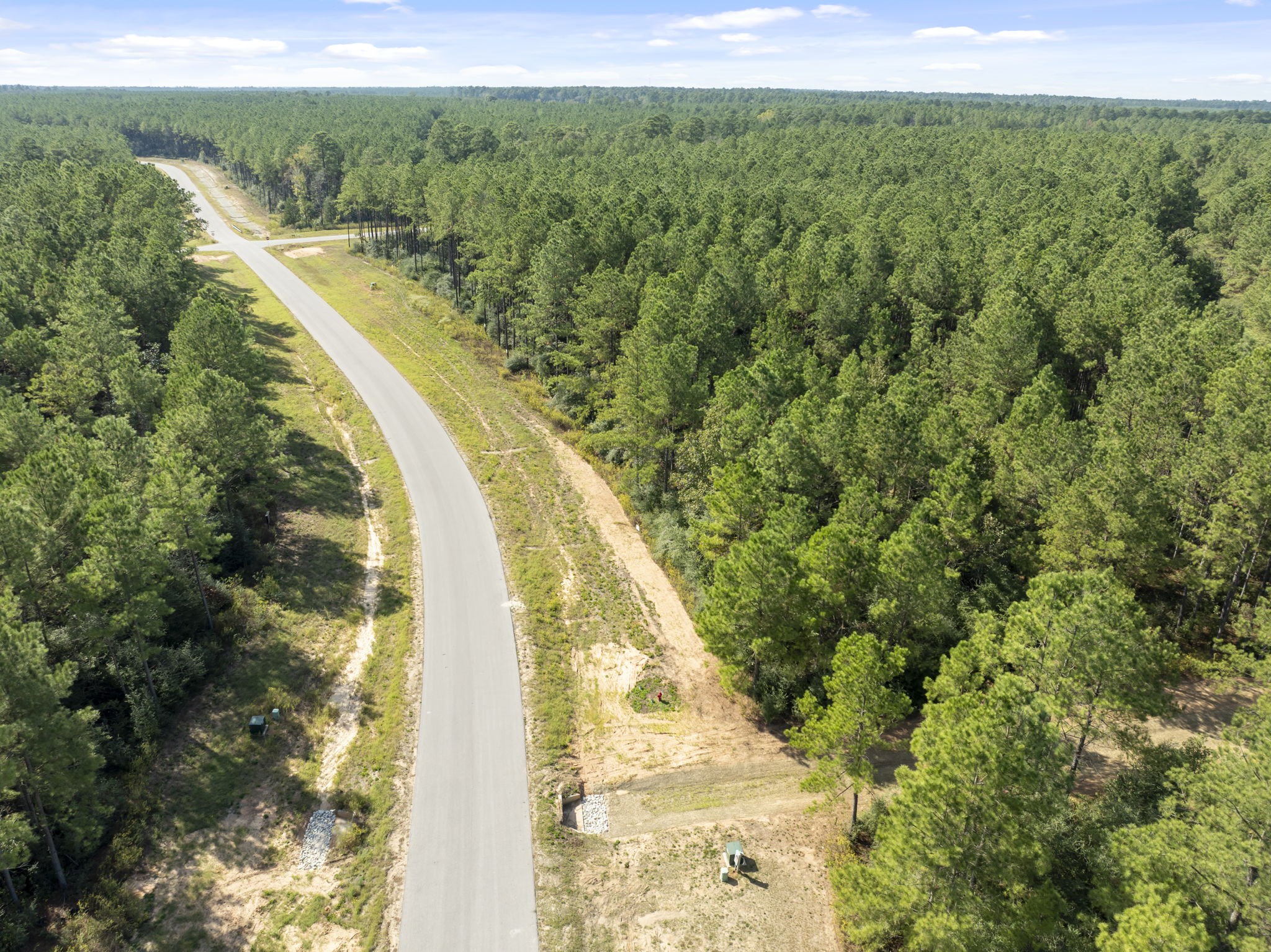 16002 Forest Mill Road, Willis, TX 77378