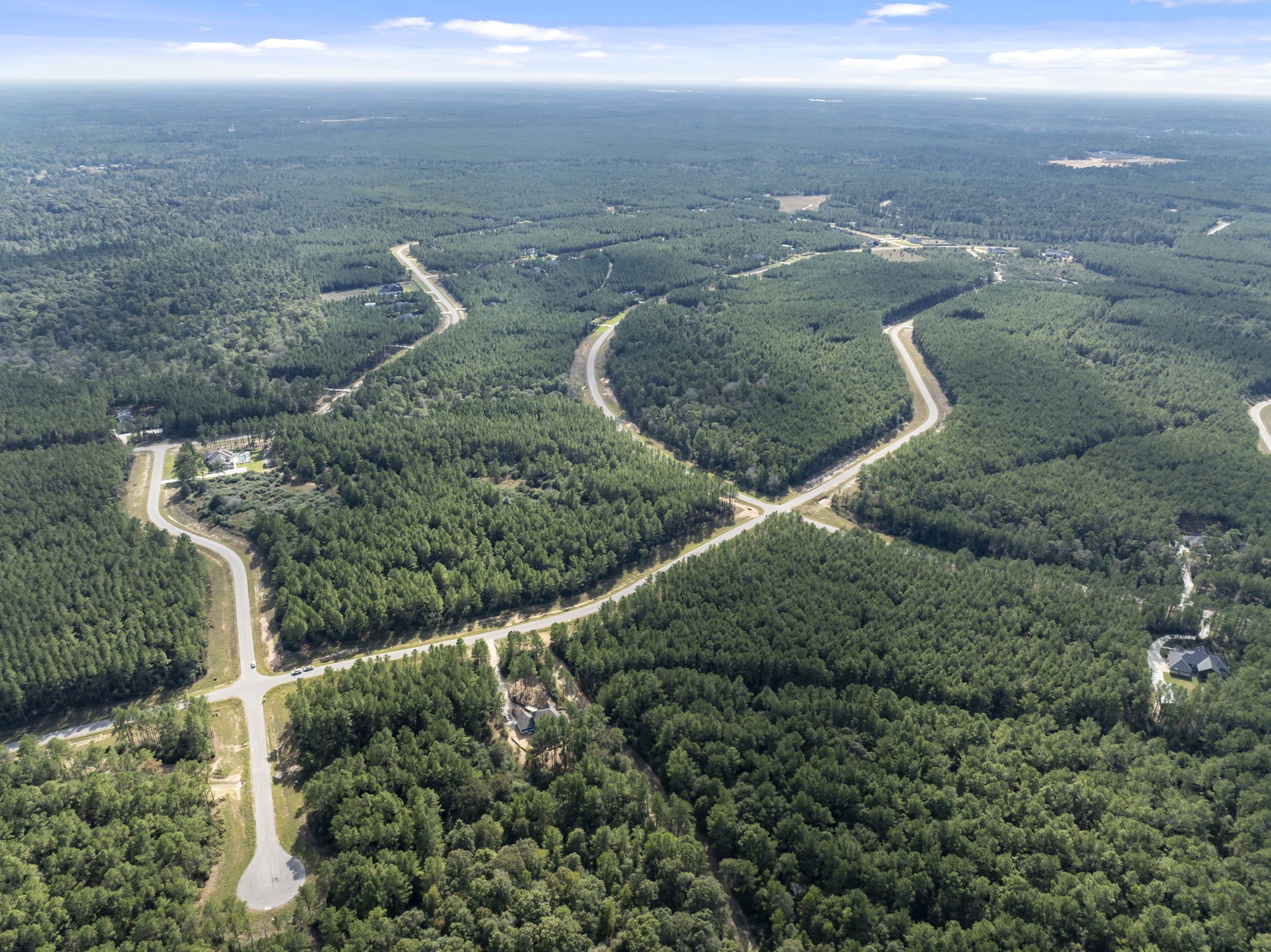 16002 Forest Mill Road, Willis, TX 77378
