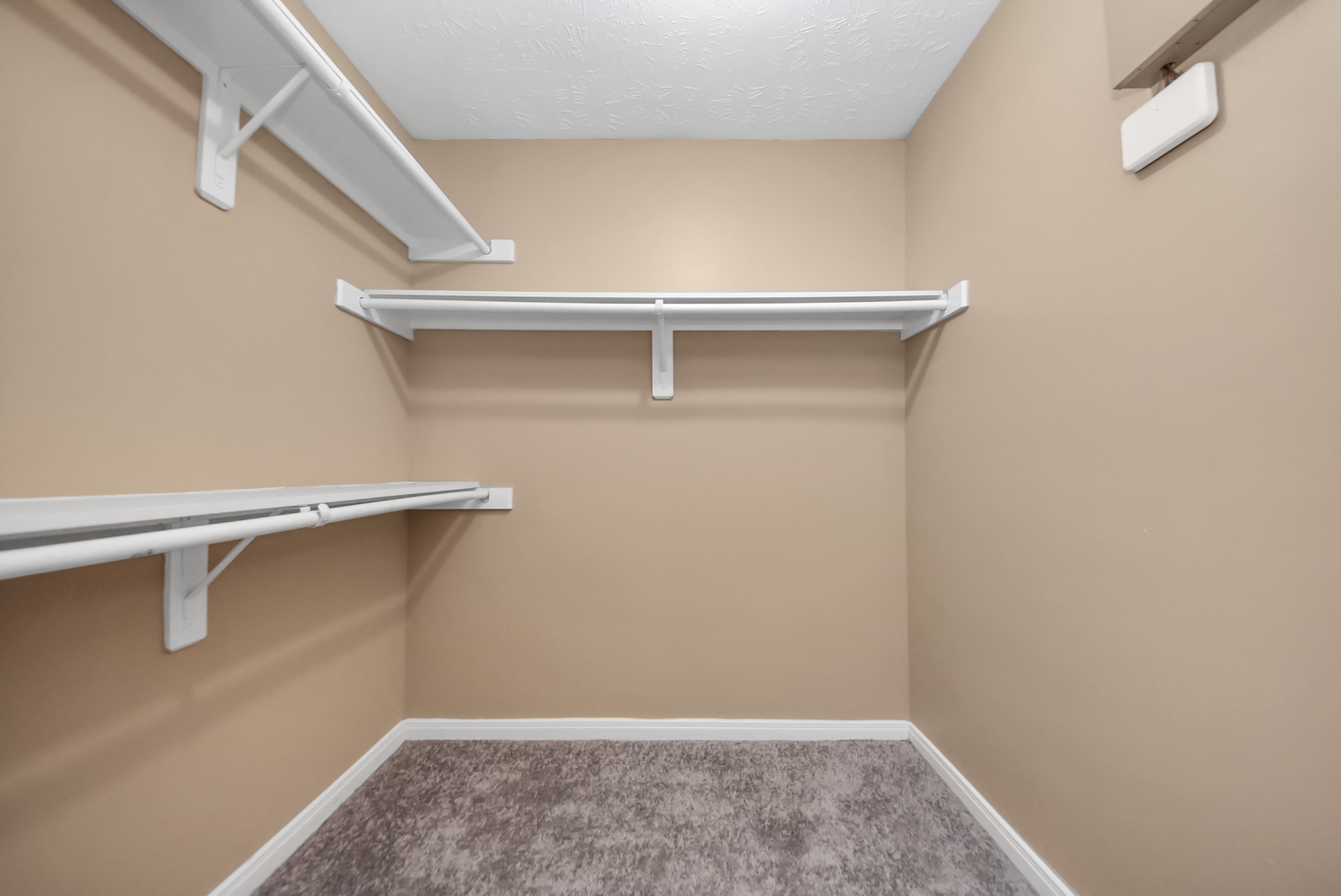 The primary bedroom also features a second, spacious walk-in closet.