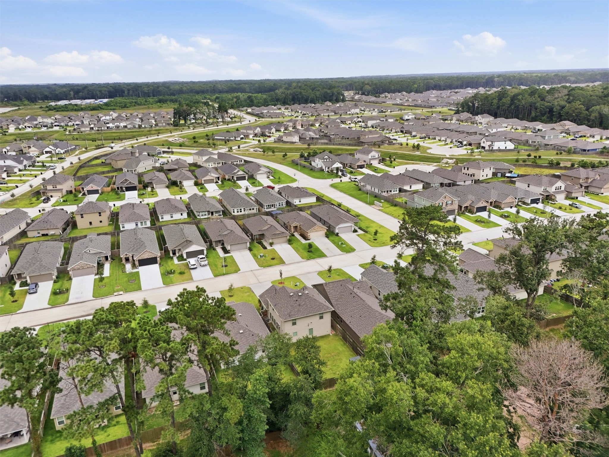 22479 Douglas Court, New Caney, TX 77357