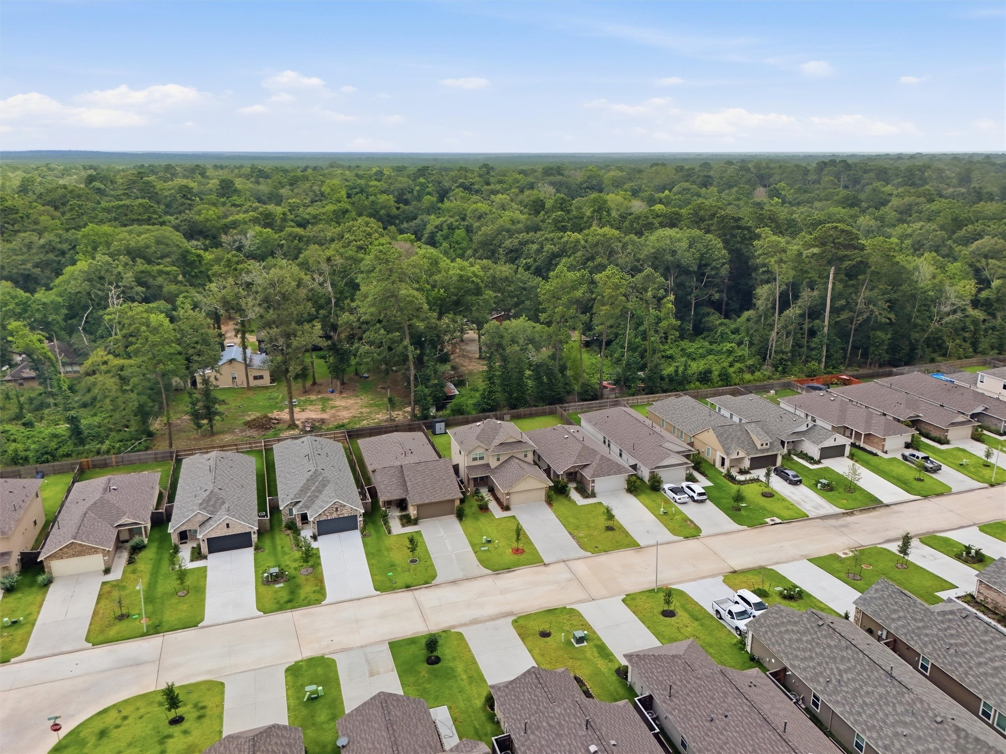 22479 Douglas Court, New Caney, TX 77357