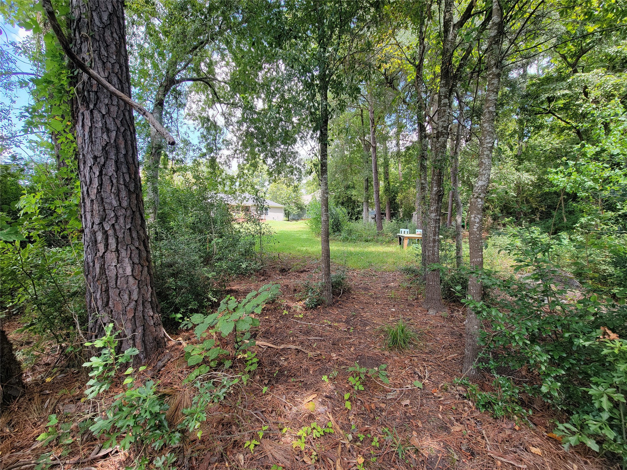 0 Tri Lakes Rd, Montgomery, TX 77316