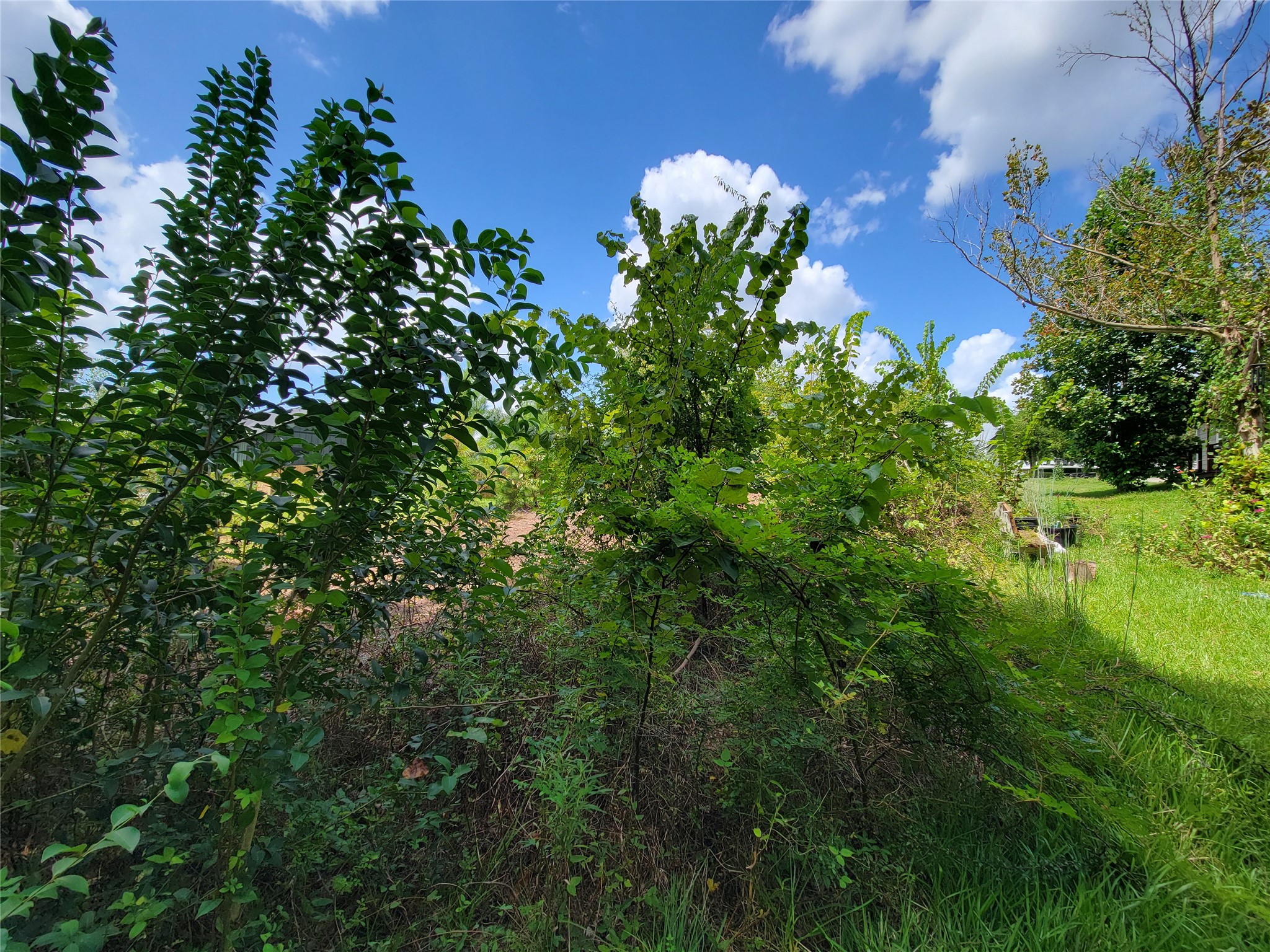 0 Tri Lakes Rd, Montgomery, TX 77316