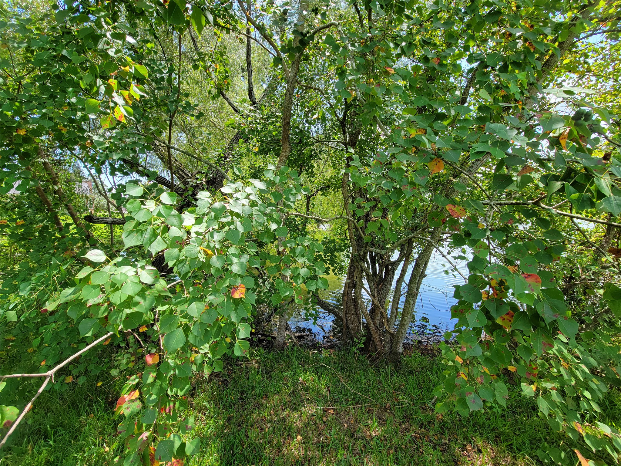 0 Tri Lakes Rd, Montgomery, TX 77316