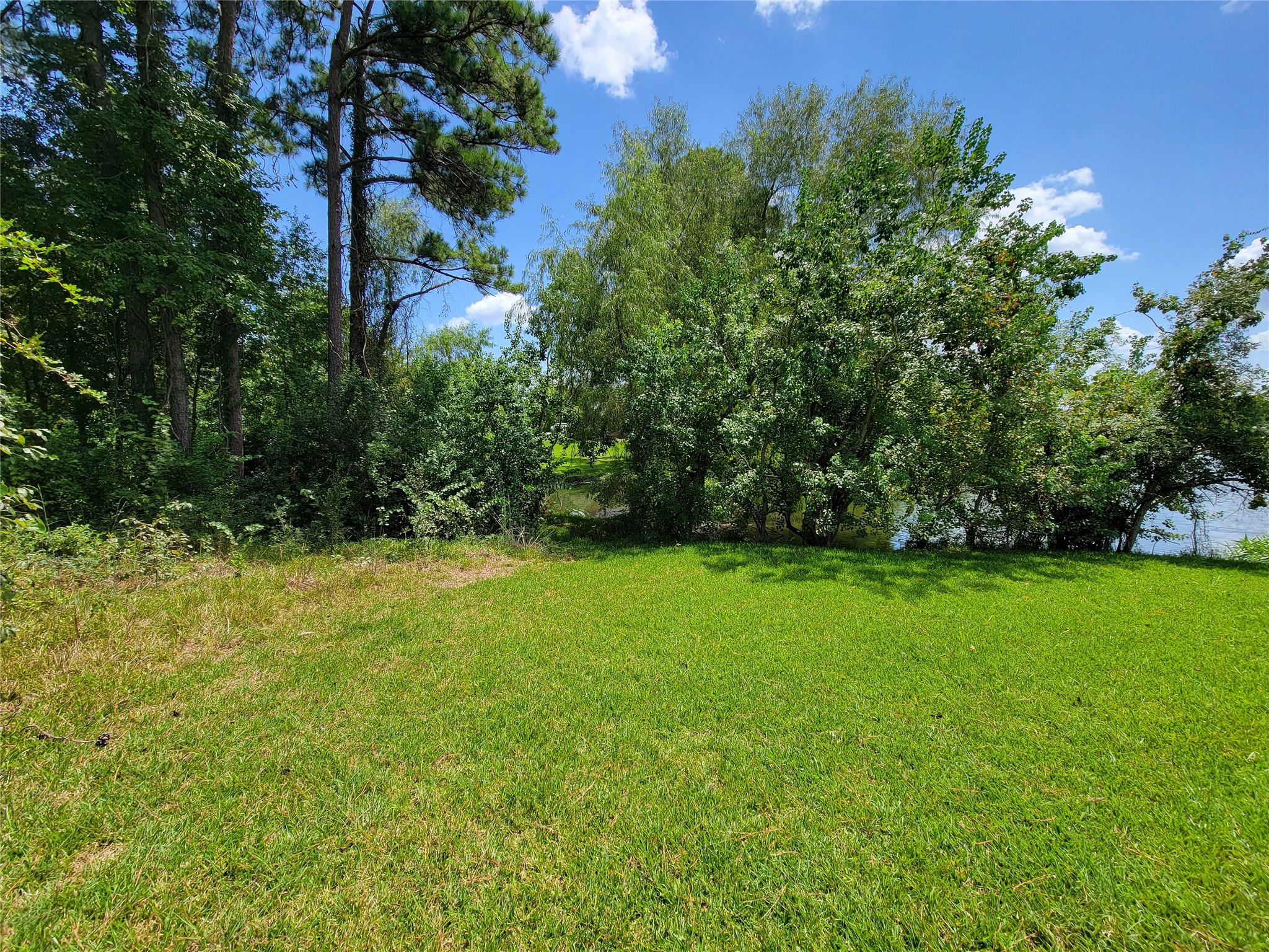 0 Tri Lakes Rd, Montgomery, TX 77316