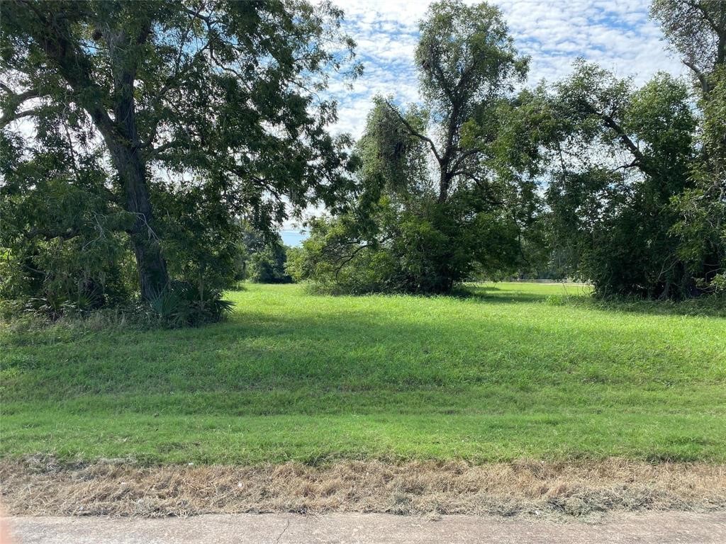 106 Horse Shoe Trail, Angleton, TX 77515