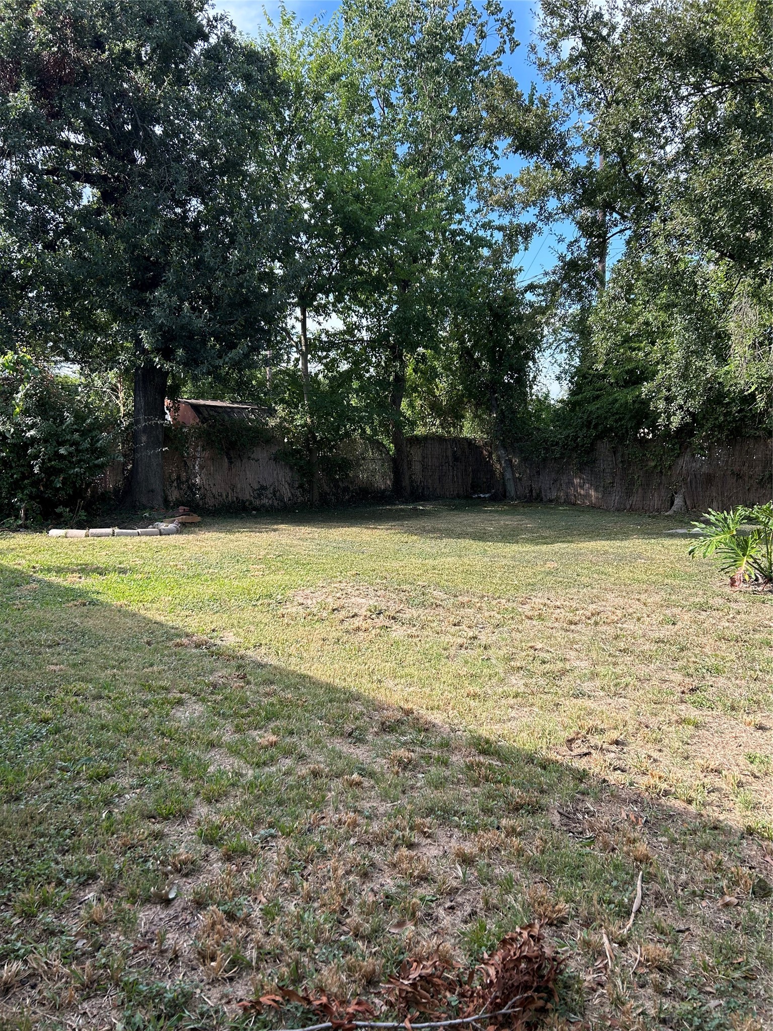 Backyard