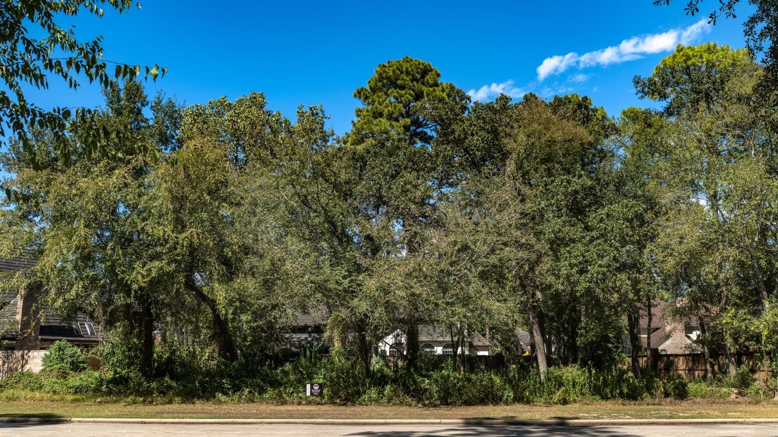 Front view of the lot.