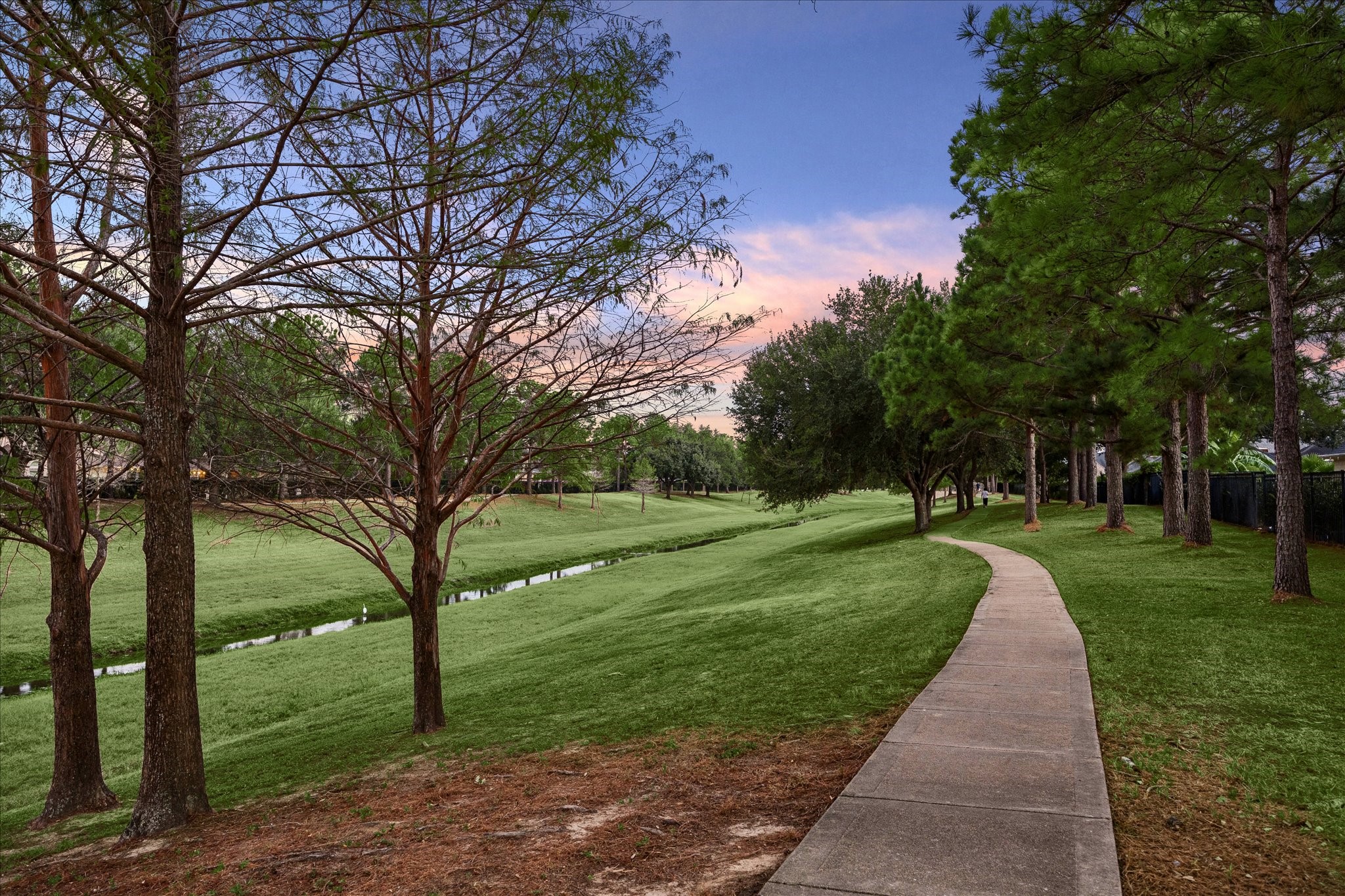 Enjoy tranquil views from the backyard.