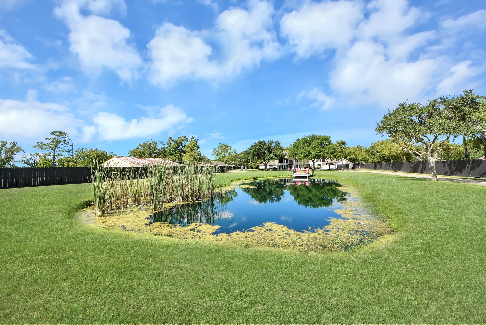 A beautiful view as you drive in the long drive way! A beautiful view as you drive in the long drive way!