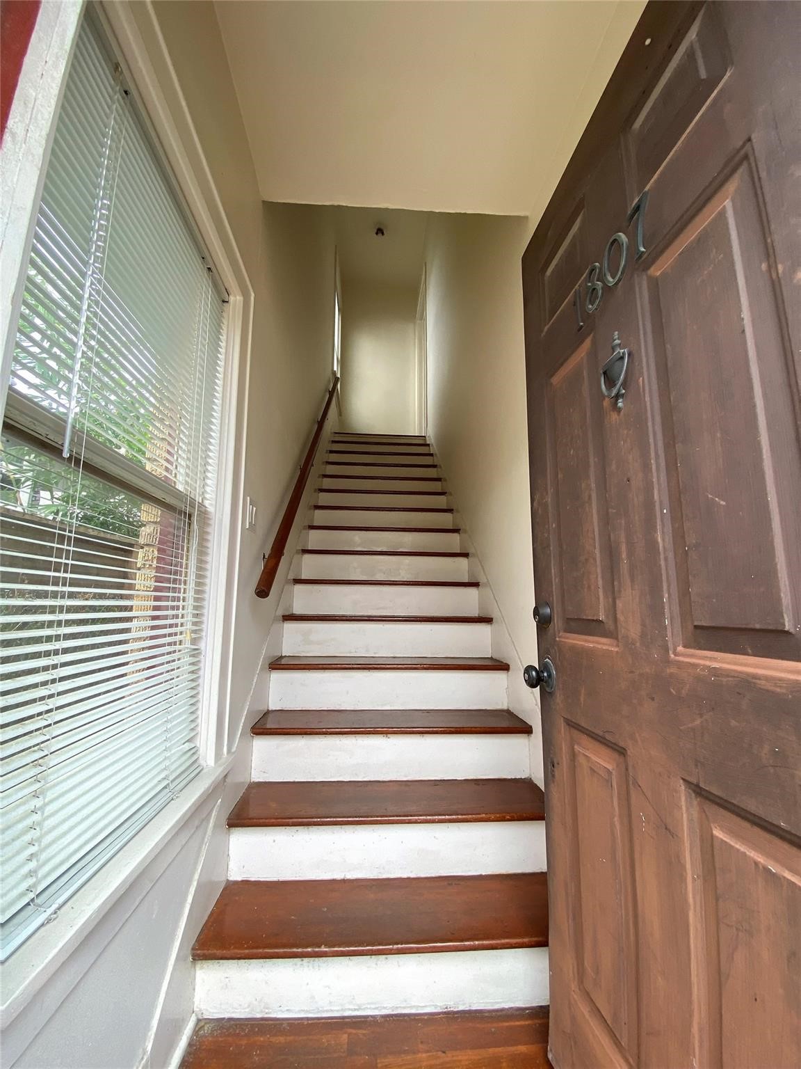 1807 Park Street, Houston, TX 77019