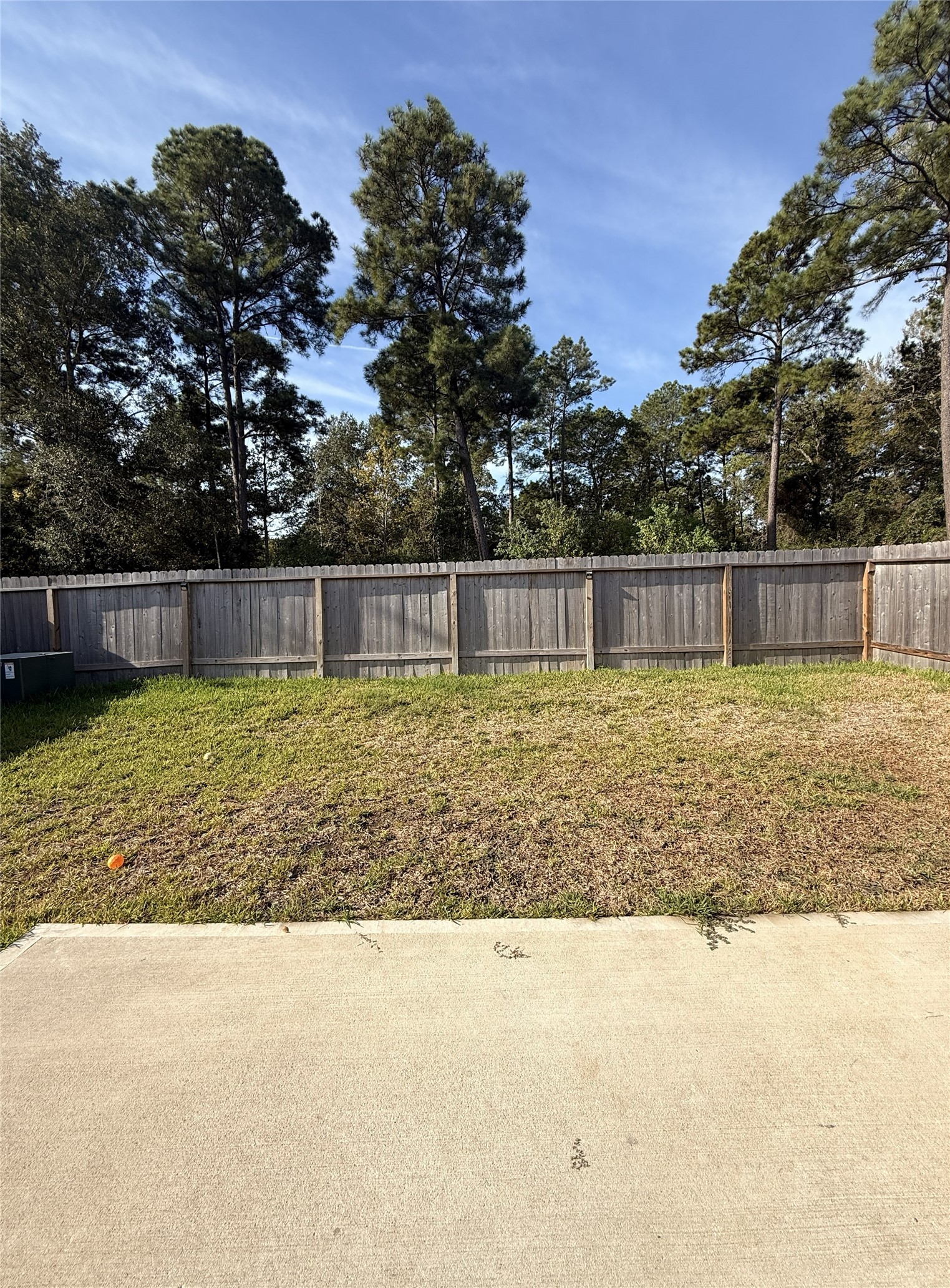 388 Cumberland Forest Drive, Magnolia, TX 77354