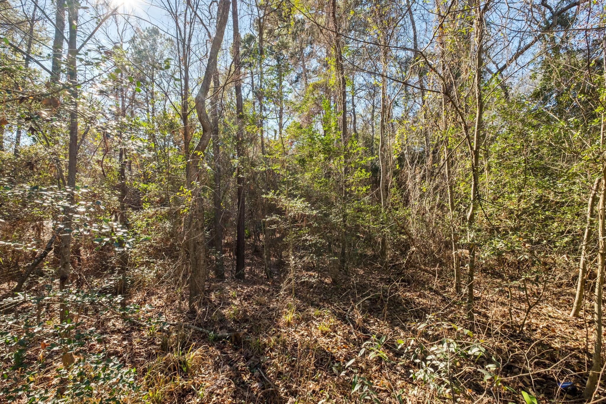 0 Paradise View Dr, Willis, TX 77318