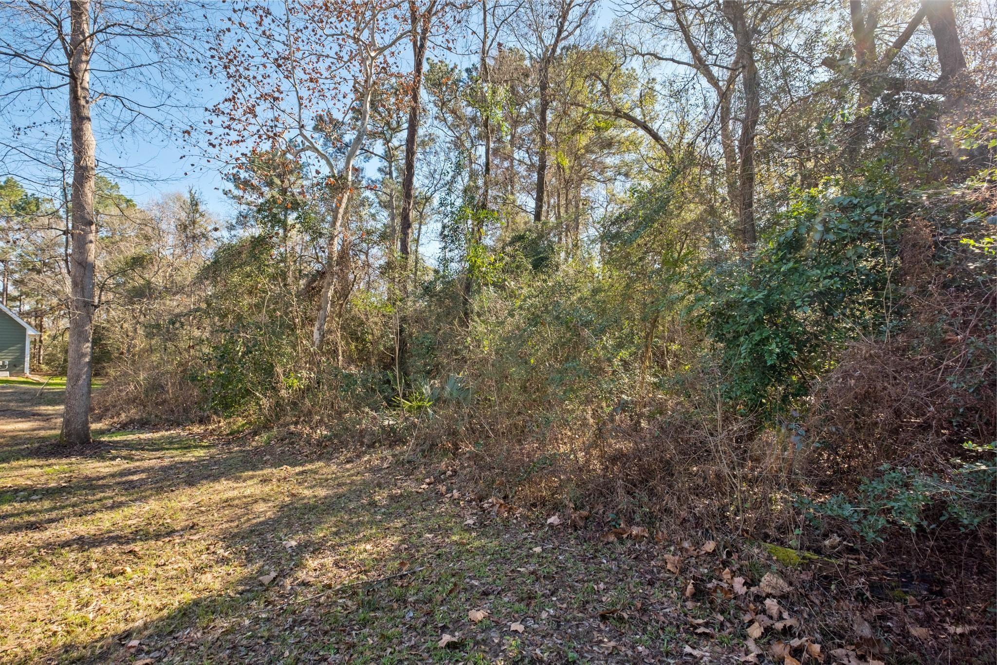 0 Paradise View Dr, Willis, TX 77318