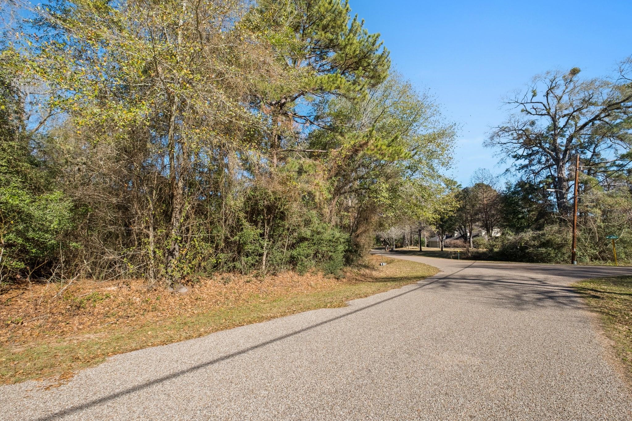 0 Paradise View Dr, Willis, TX 77318