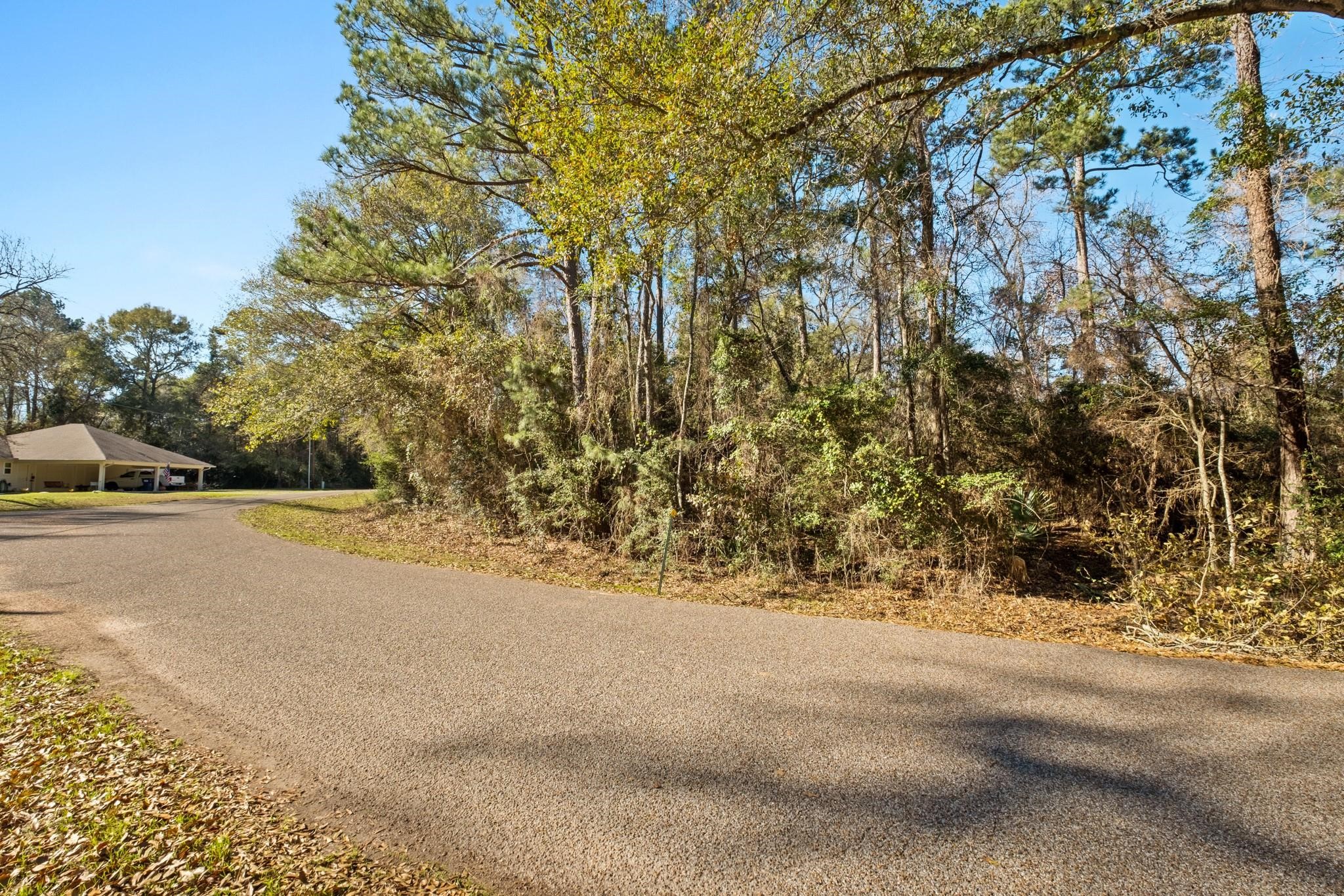 0 Paradise View Dr, Willis, TX 77318
