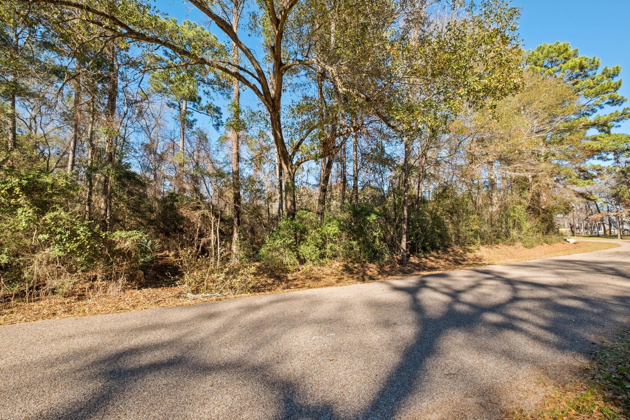 0 Paradise View Dr, Willis, TX 77318