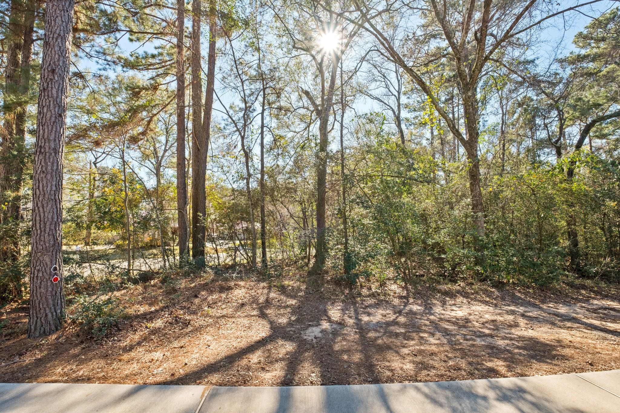 0 Paradise View Dr, Willis, TX 77318
