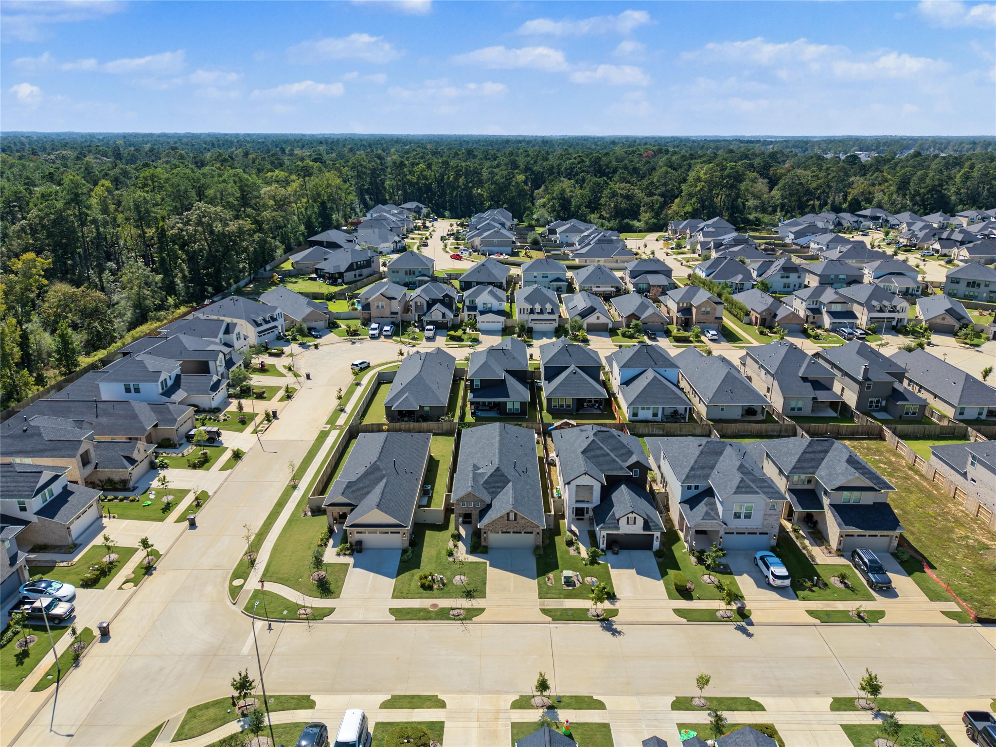 40526 Tyto Lane, Magnolia, TX 77354