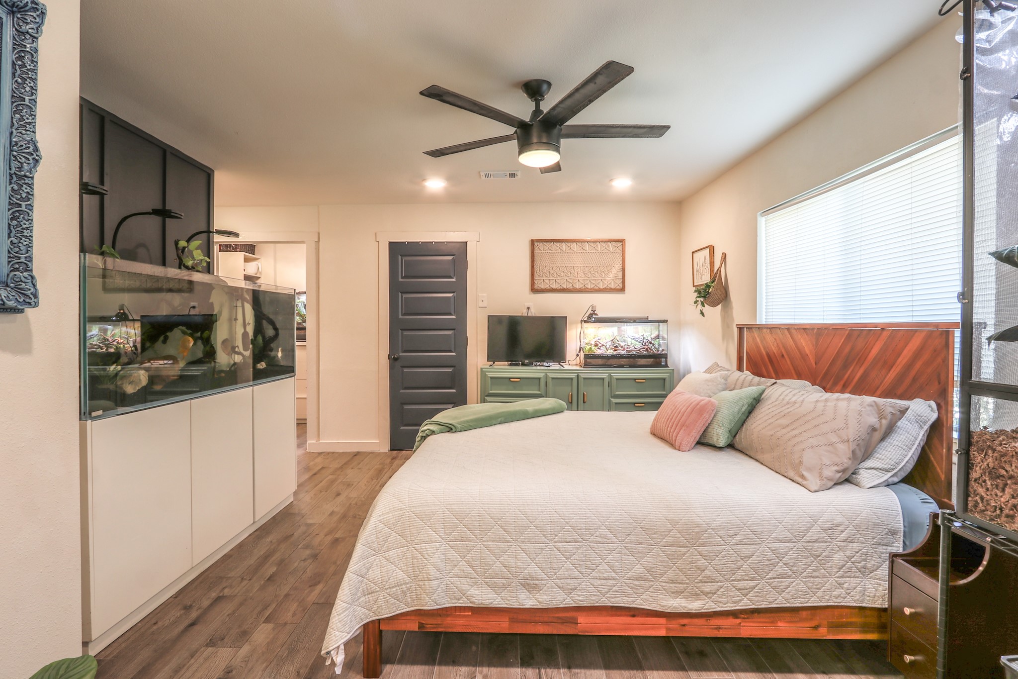 This Primary bedroom is such a generous size with recessed lighting & a modern simple ceiling fan.  The Navy 5-panel doors are throughout the home and add such a classic touch to each bedroom.  The stylish navy accent wall behind the beautiful 167 gallon Waterbox rimless freshwater aquarium loaded with a variety of fish thriving. A set up of this quality & size is expensive and the current owners would like to gift it to new owners or it can be removed. It will lull you into a peaceful sleep every night!