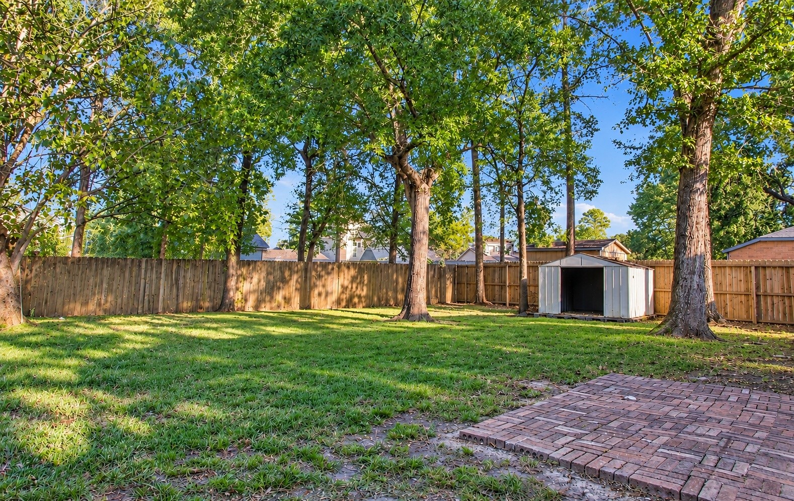 Another angle of the backyard!