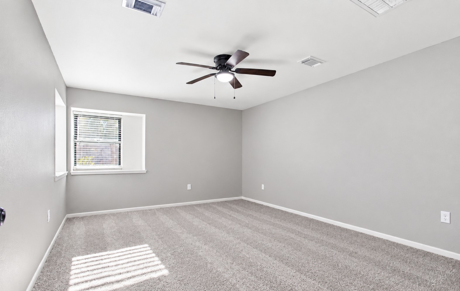 BRAND NEW CARPET