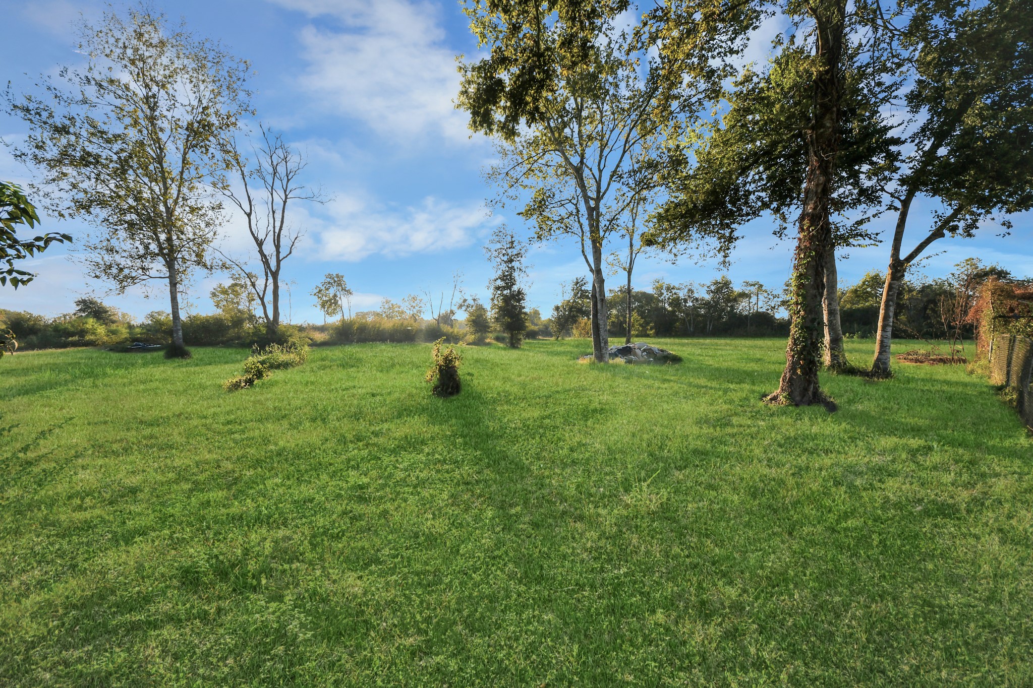 4503 Patterson Lane, Manvel, TX 77578